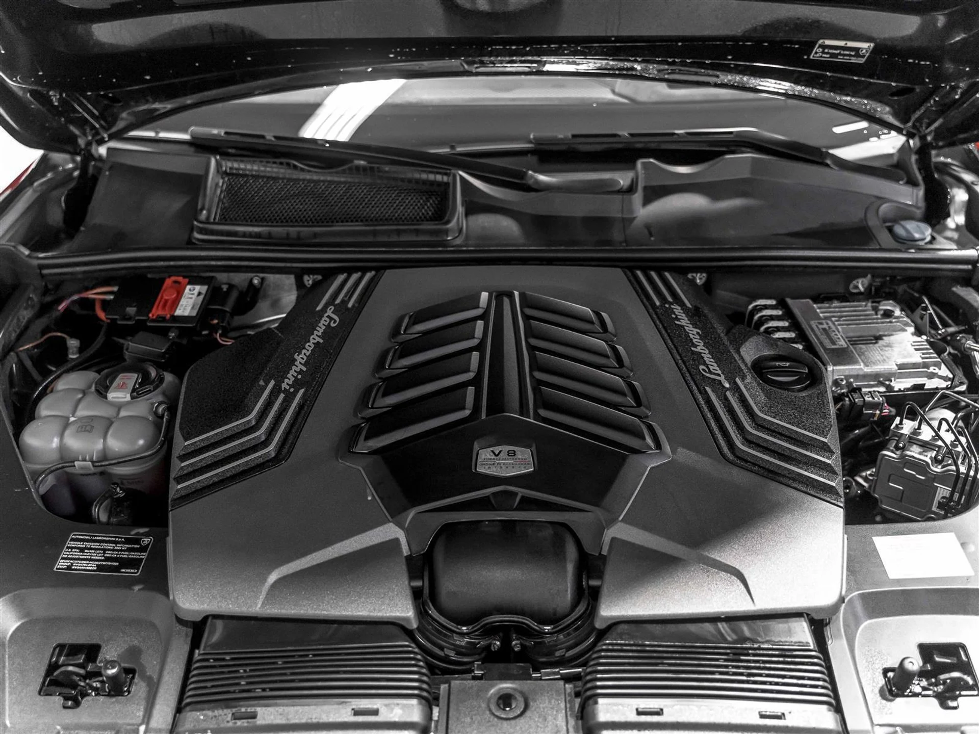 mph023_3484921582_c3e02b51_ccfd_4021_a6b6_d390091dd244_bbc9c5a9f9