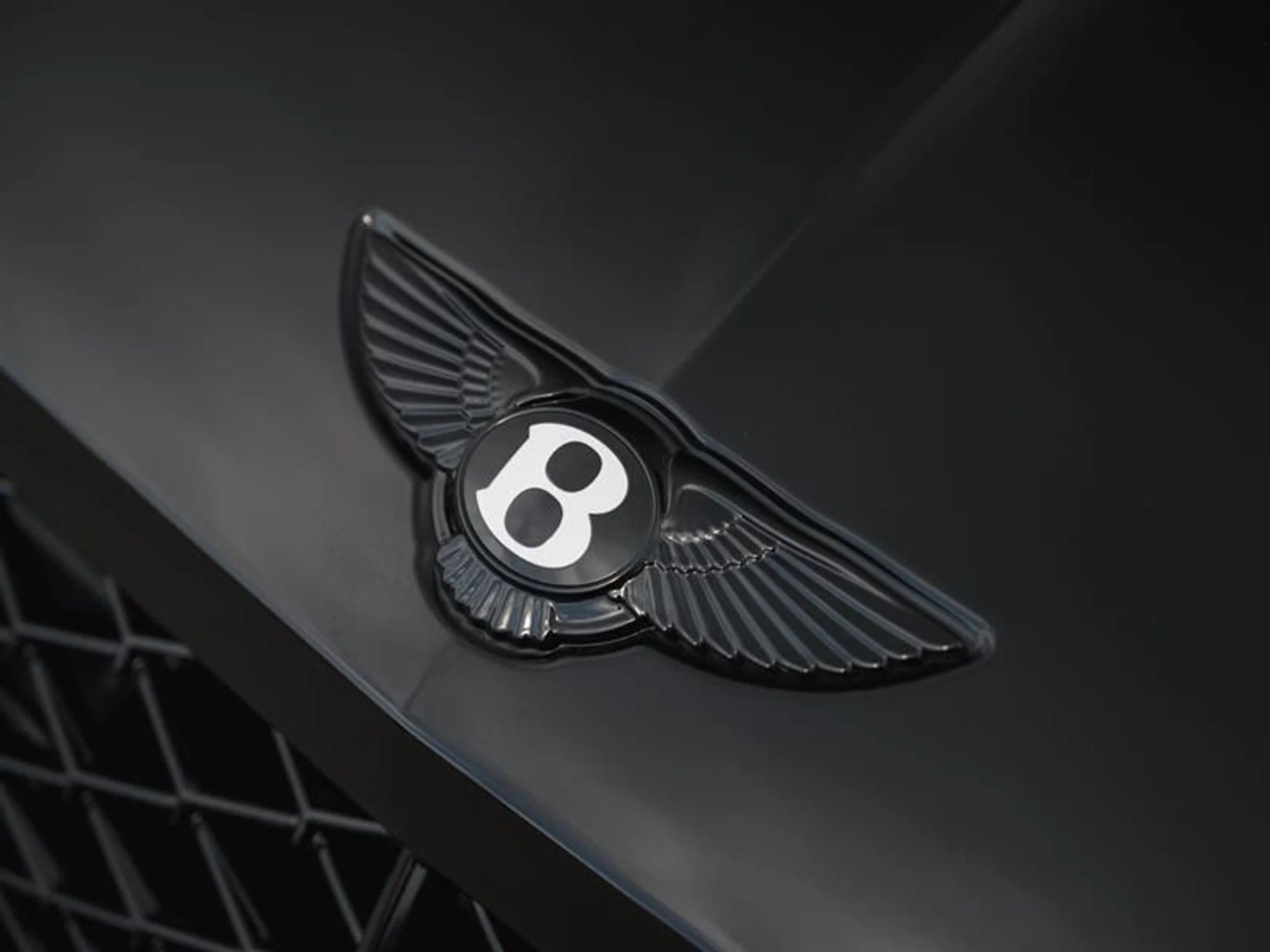 mph023_3497703485_moekaj4h_02d4728532