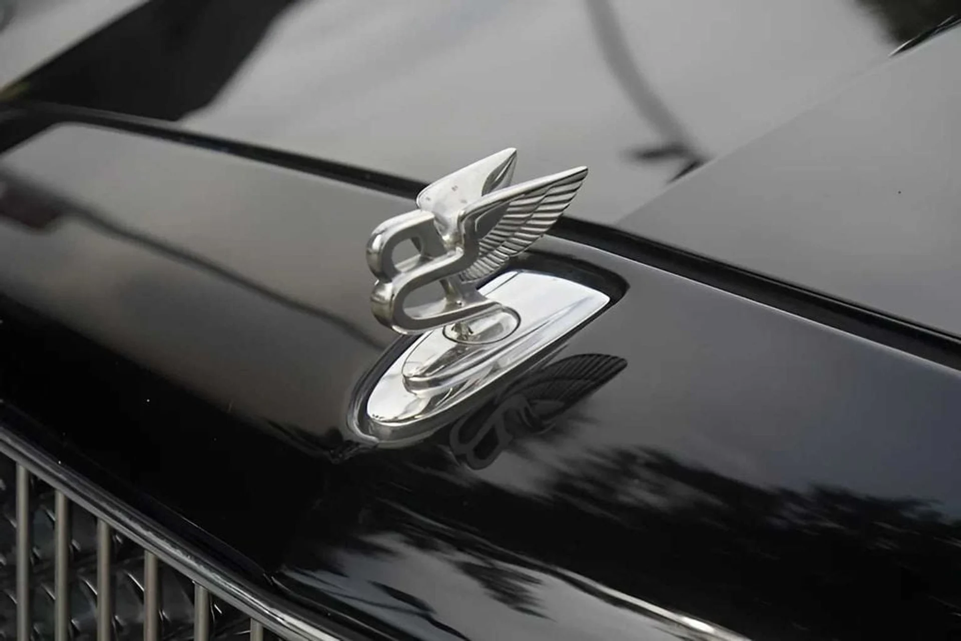 mph023_380892875_f3601f8a95fb56262412ee5f577902abx_d2218335b7