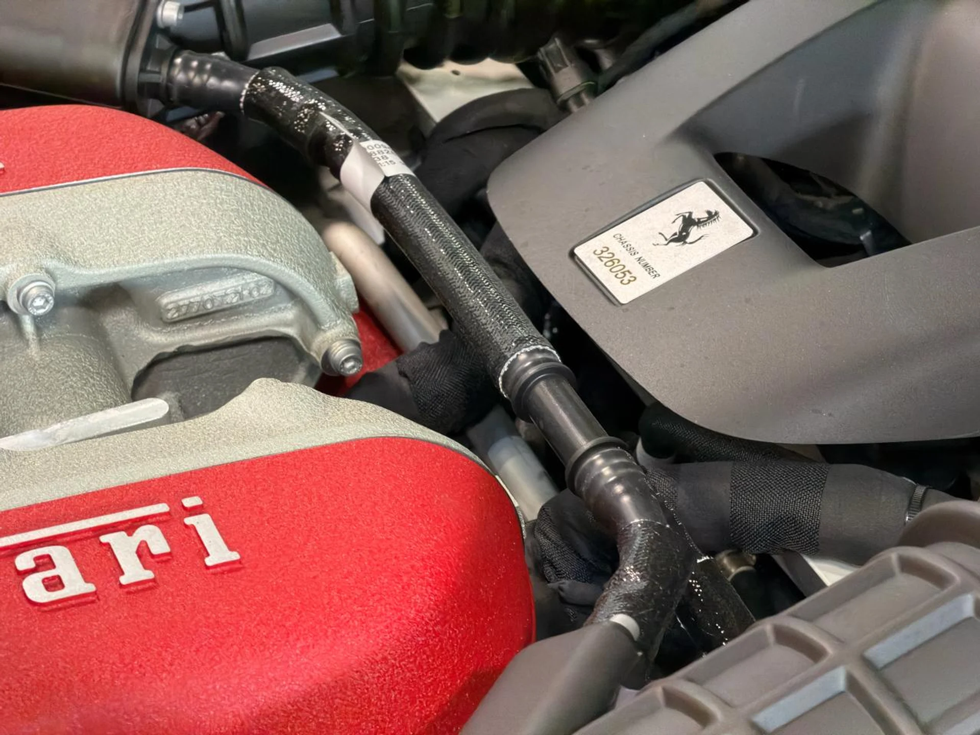 mph023_3814040778_639118697385627471_9edfc69187