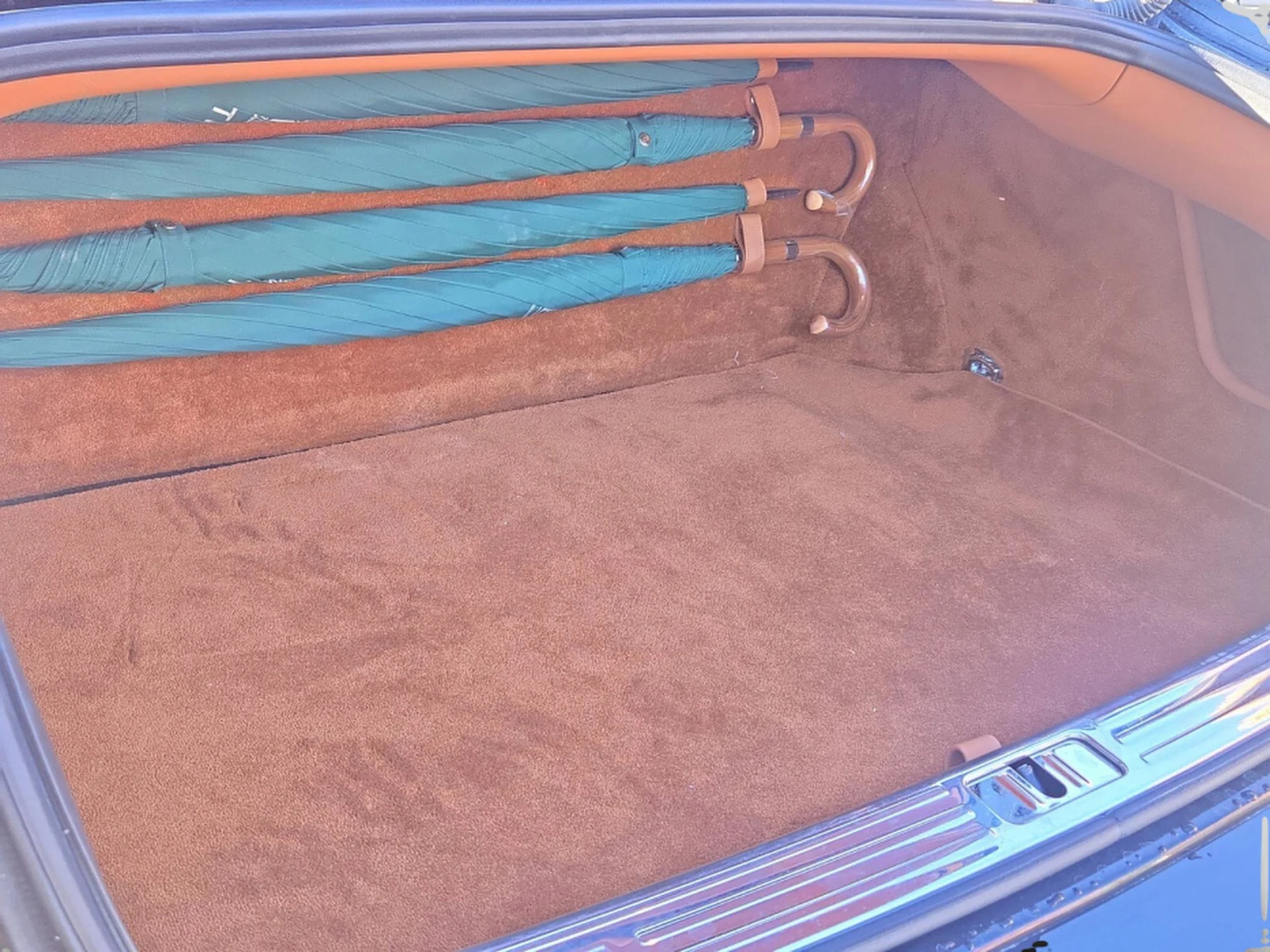 mph023_390390487_66d98a828ea7486a9463a40b035083d7x_abde32ef1a