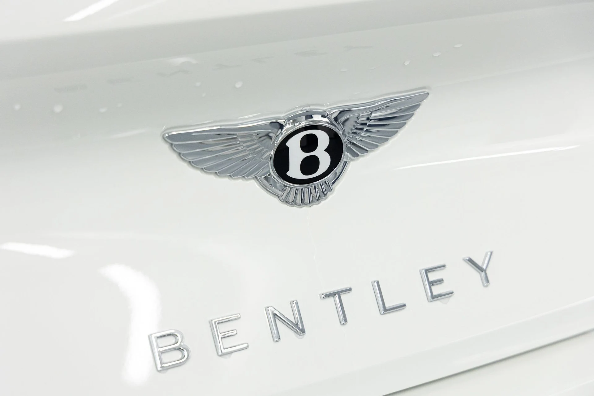 mph023_4081918384_cf88aff1565c699b888f247c1eee701fx_e61561fc6e