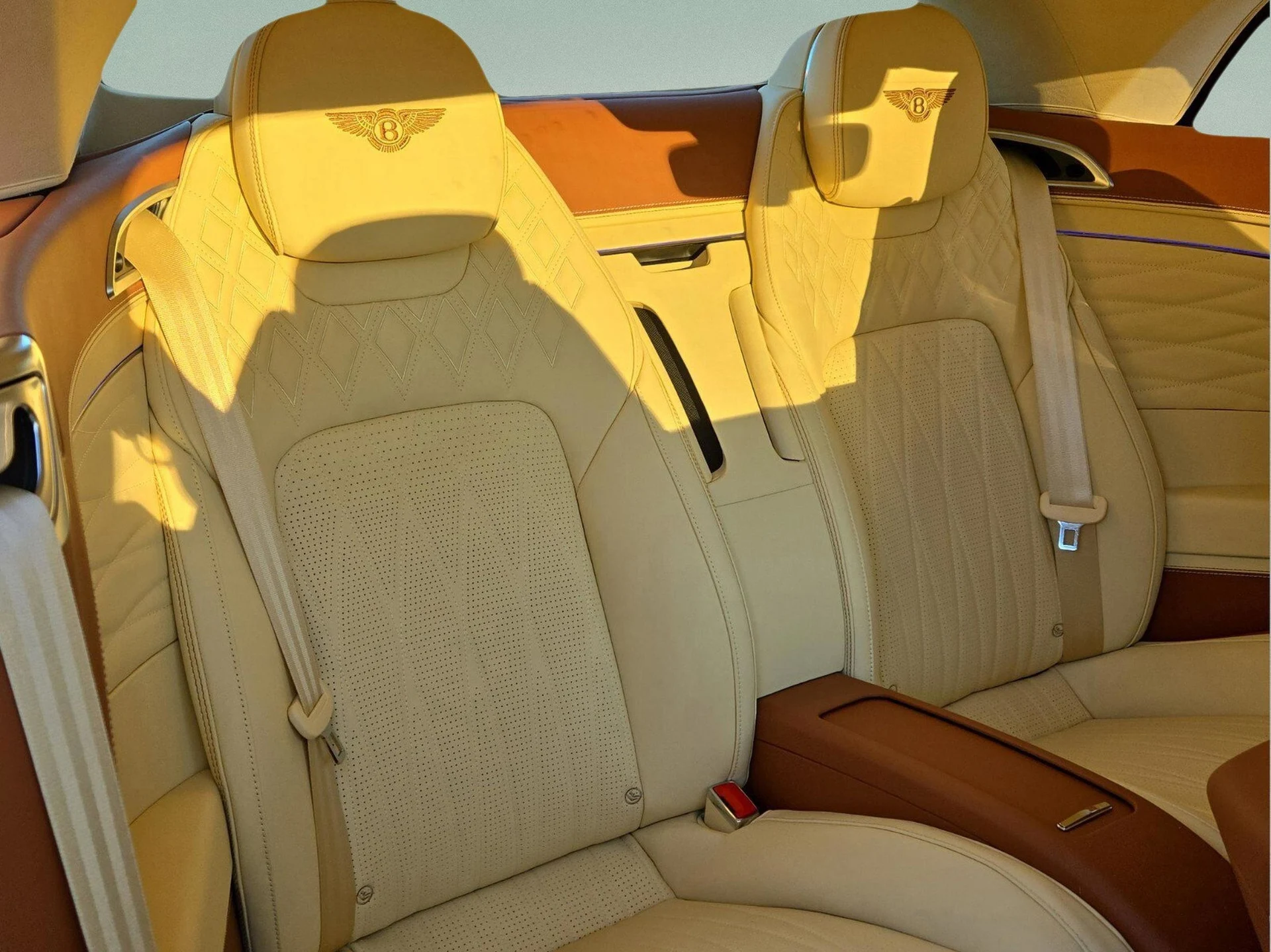 mph023_4114088293_acfd74f567f70d8361c61b3fb986ad04x_c39036cf0d