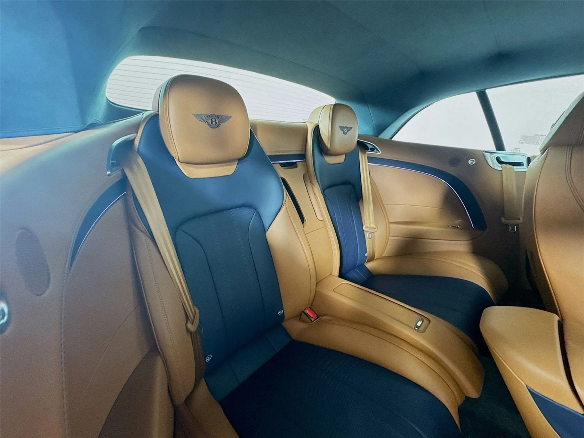 mph023_599789926_1b1a7a4507b901a2db8b5b85885dd4fex_81d2e8d71d