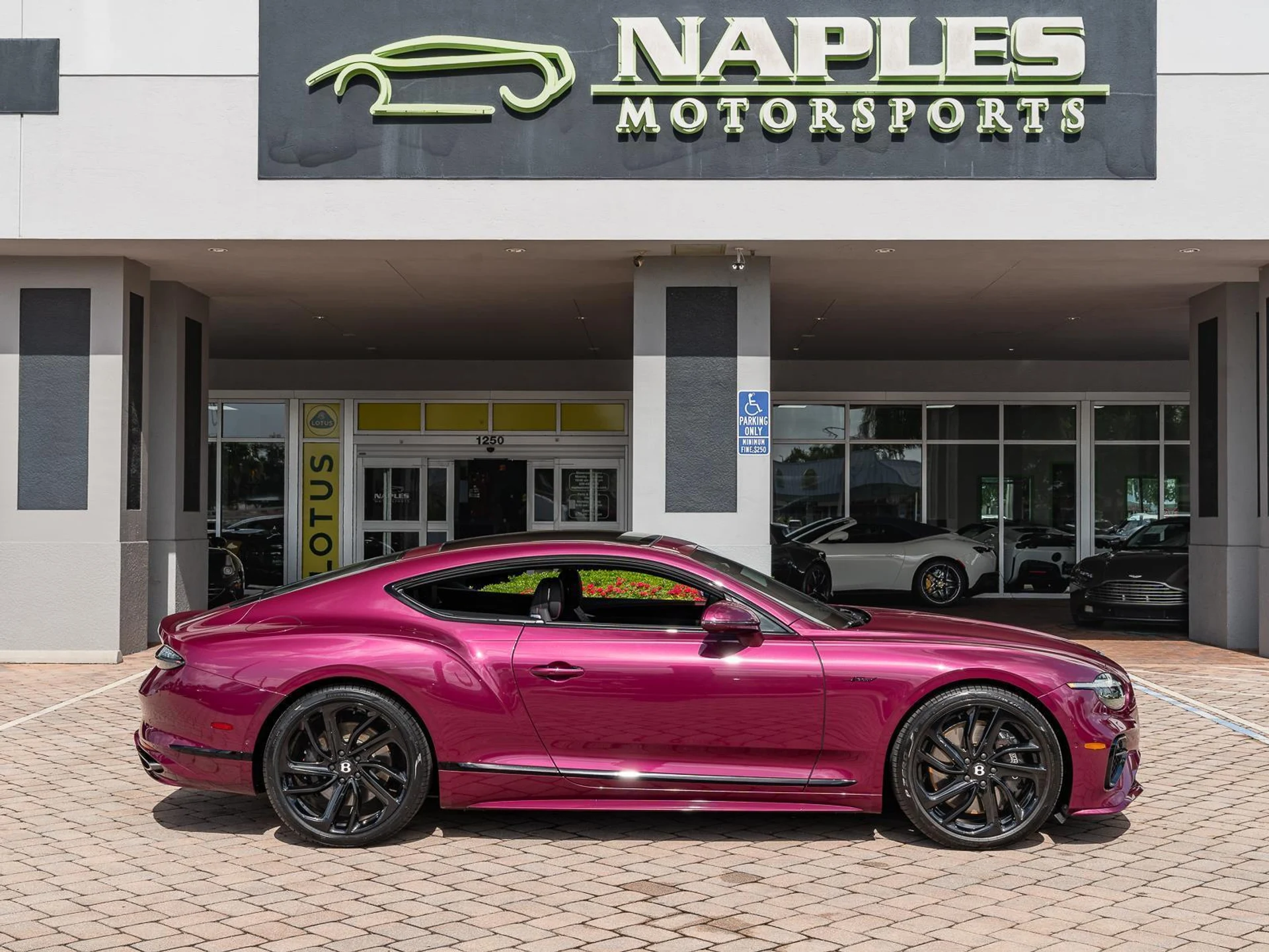 mph023_61182039_Used_2025_Bentley_Continental_GT_Speed_1779912156_7ebda80c12