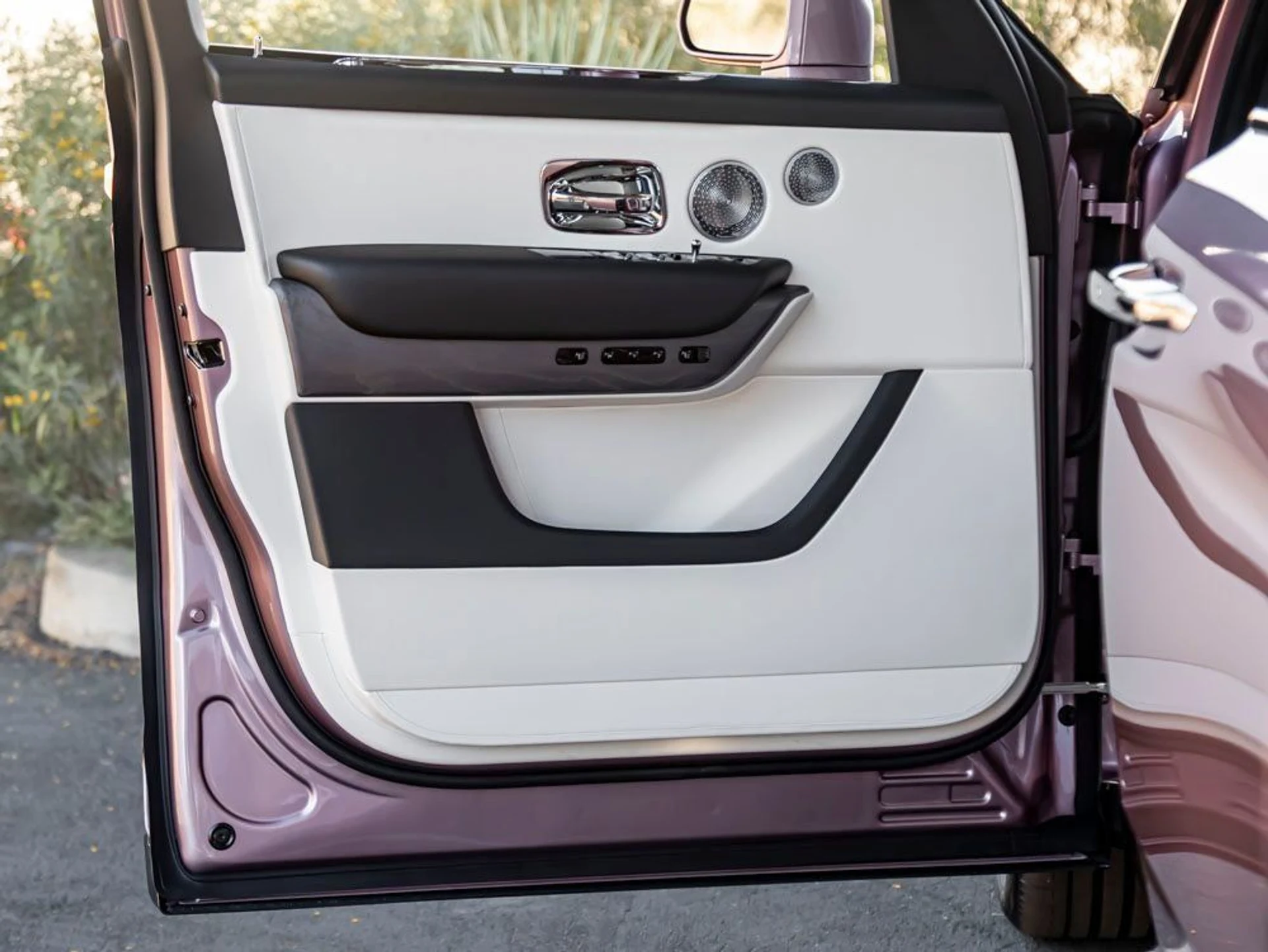 mph023_721719585_24_8565393c8e