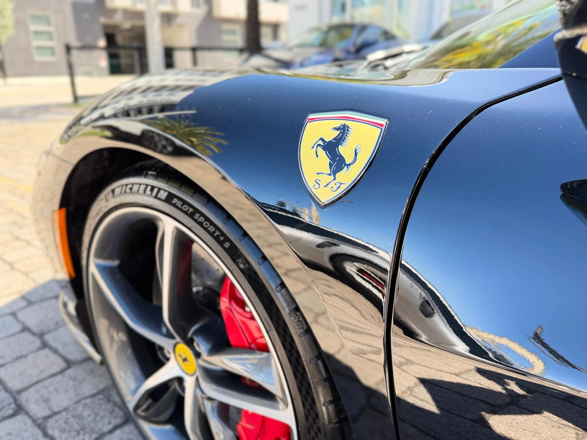 mph023_746419711_Whats_App_Image_2026_02_12_at_4_54_58_PM_24_30cf85639d