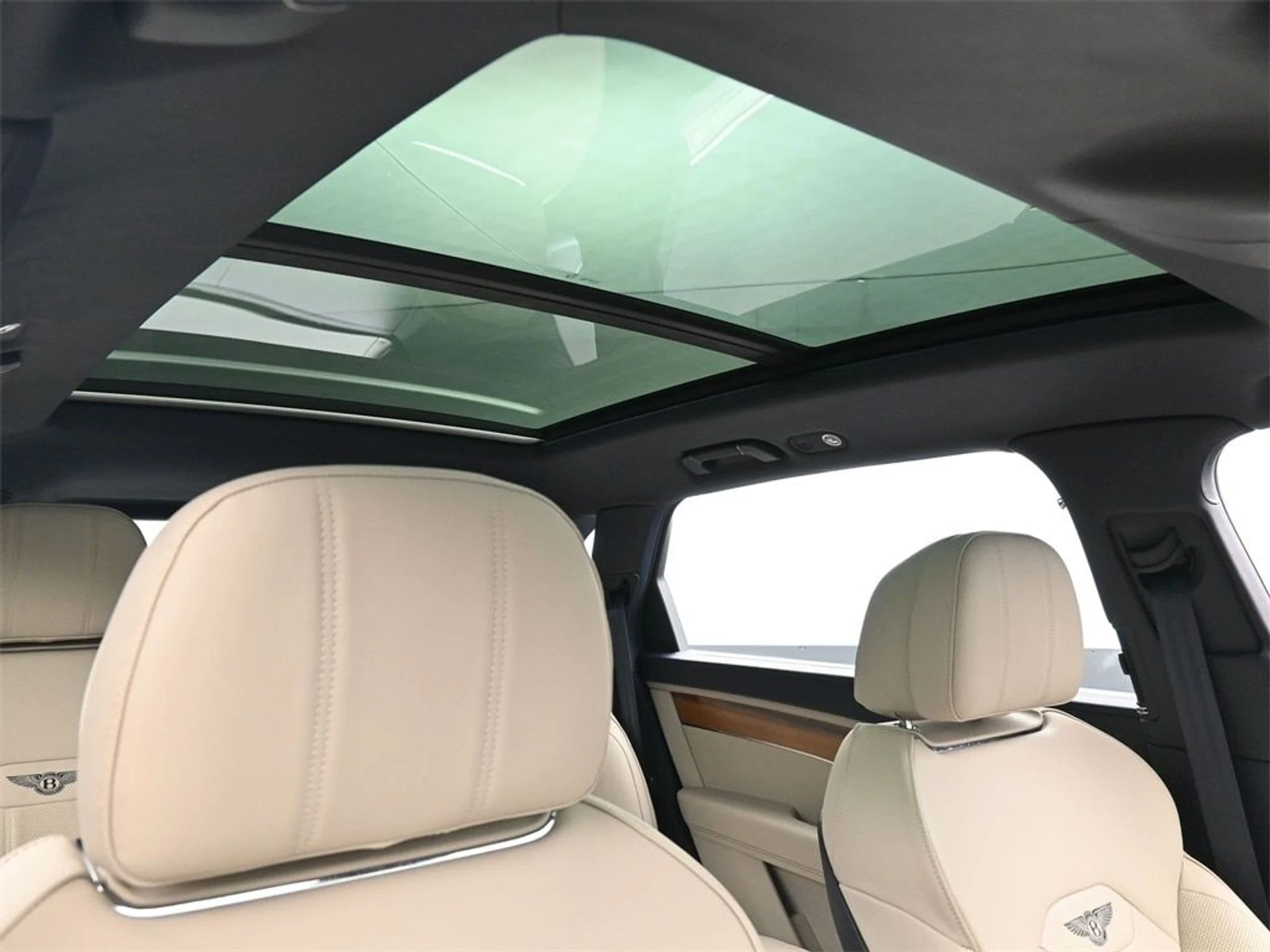 mph023_821235702_87b9c5fa301ca9343f9329a2c4cf191cx_d213575054