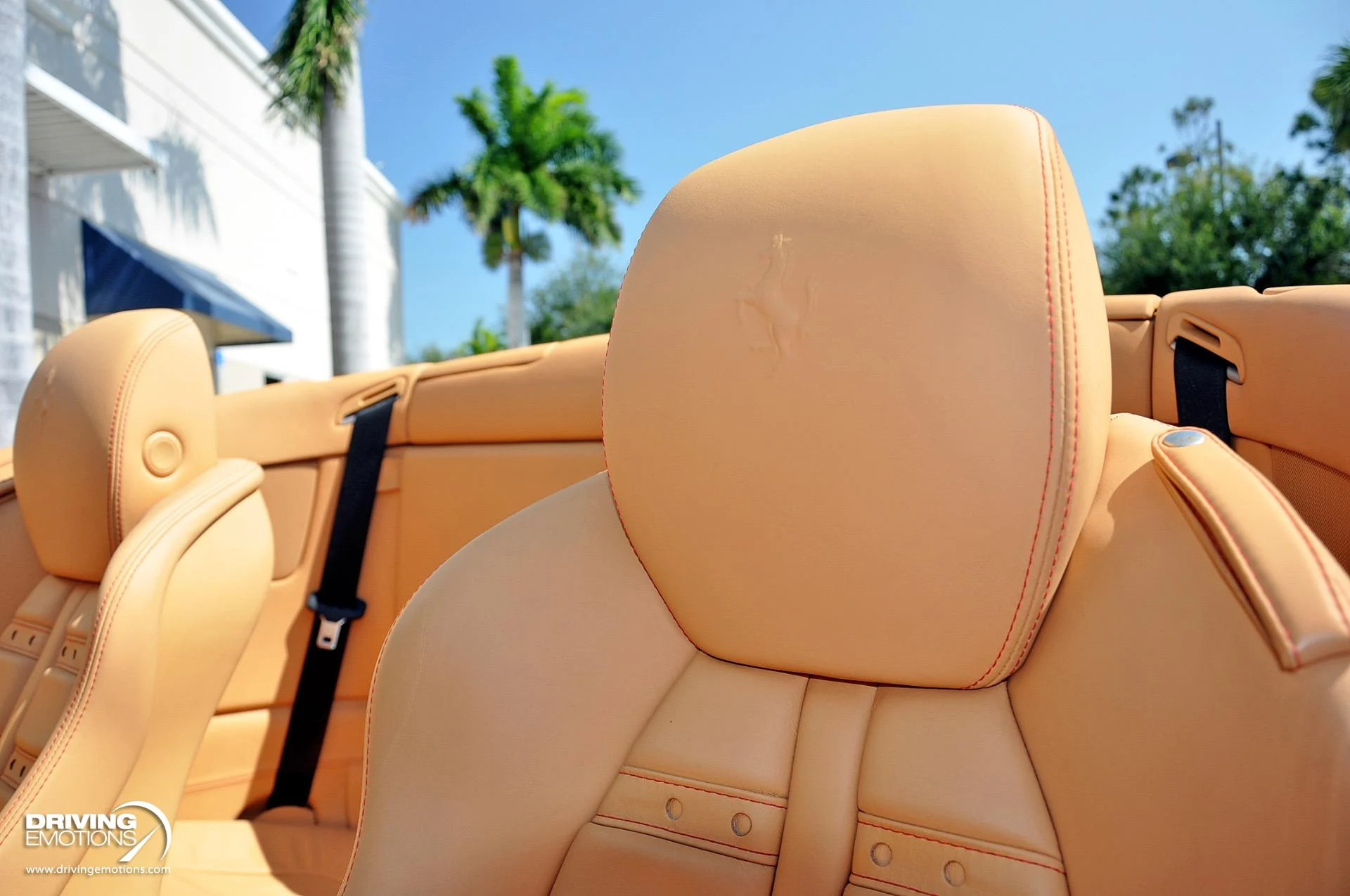 mph023_839084925_505_p24_l_f3dc0a3373