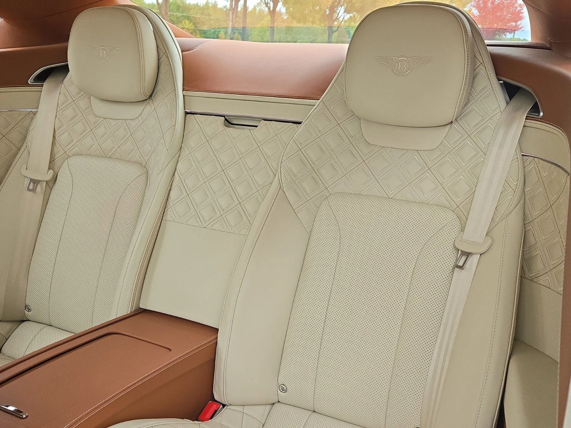 mph023_902686934_76dee0936a966c0d191cf1167e3c7b9fx_4c3a73bdf3