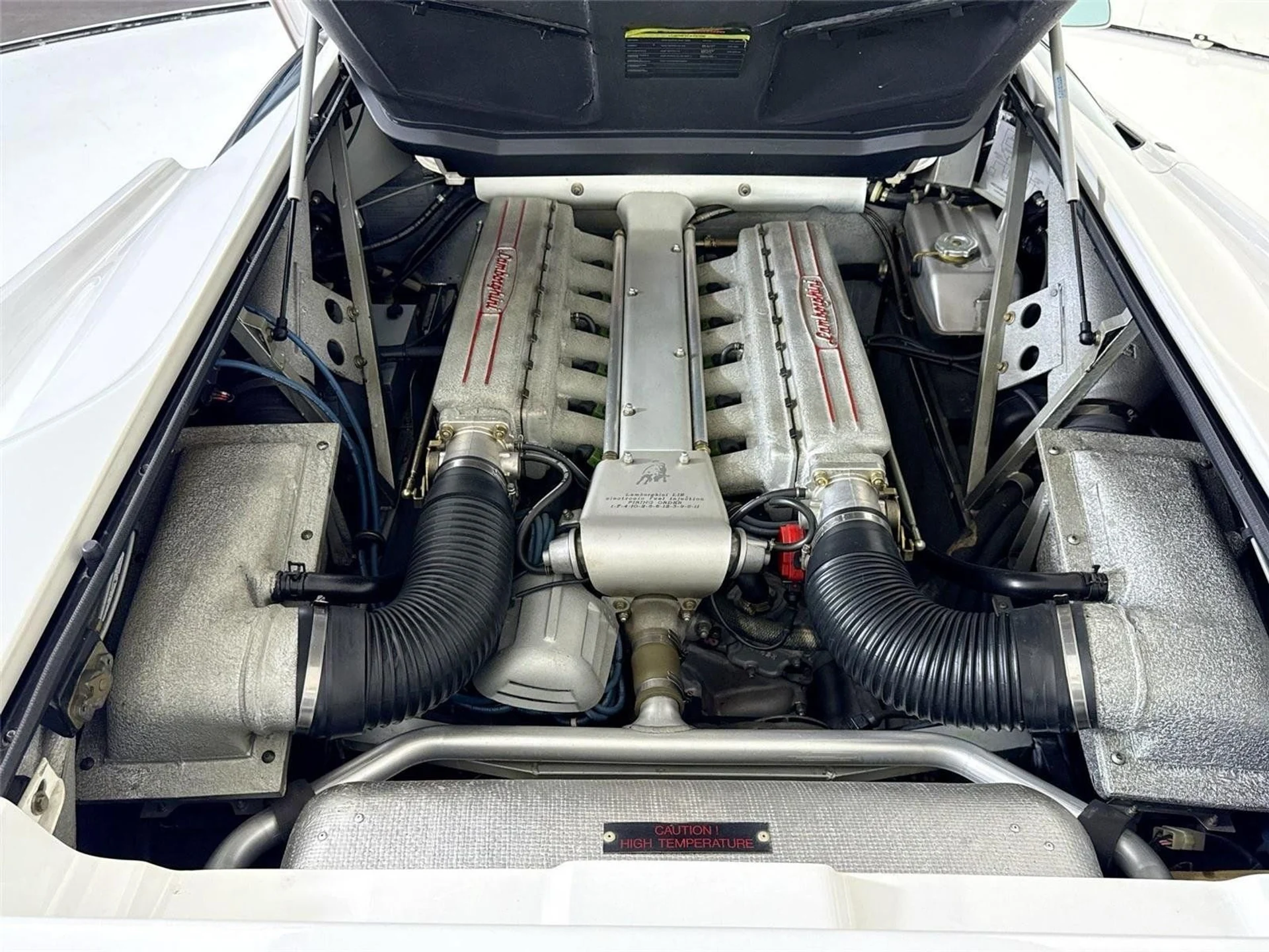 mph024_1013442290_8163ef66c68b9983c13d16ac683154b5_24d777899c