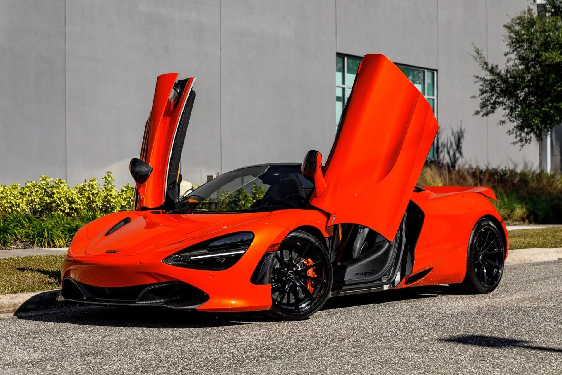 mph024_1054636046_625_p25_l_ebf9846d5a