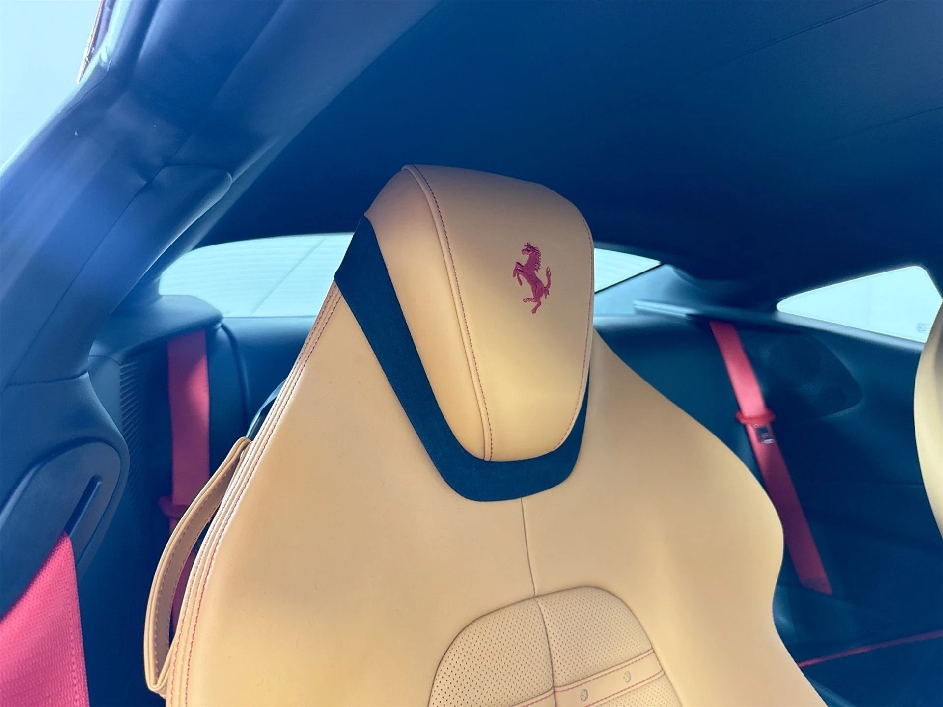 mph024_1276446969_a2f62dd3819f2501b06d150c6cb33790_3725534293