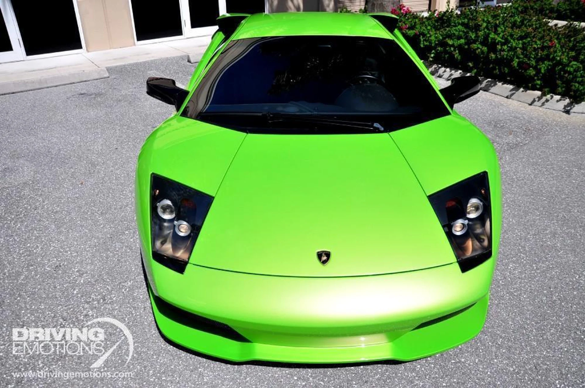 mph024_1278866889_15_p25_l_3af1e10f0e