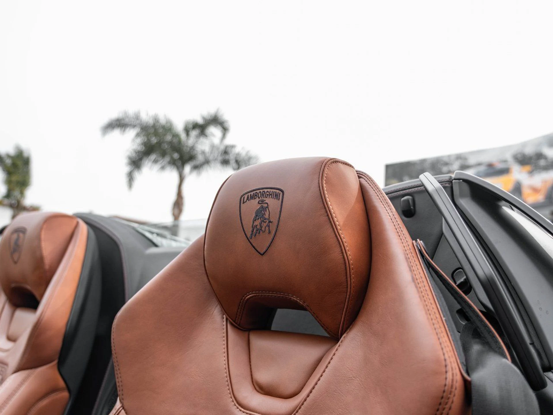 mph024_1287012121_eafbb061c07a9c180da725280408735dx_371b1e22c0