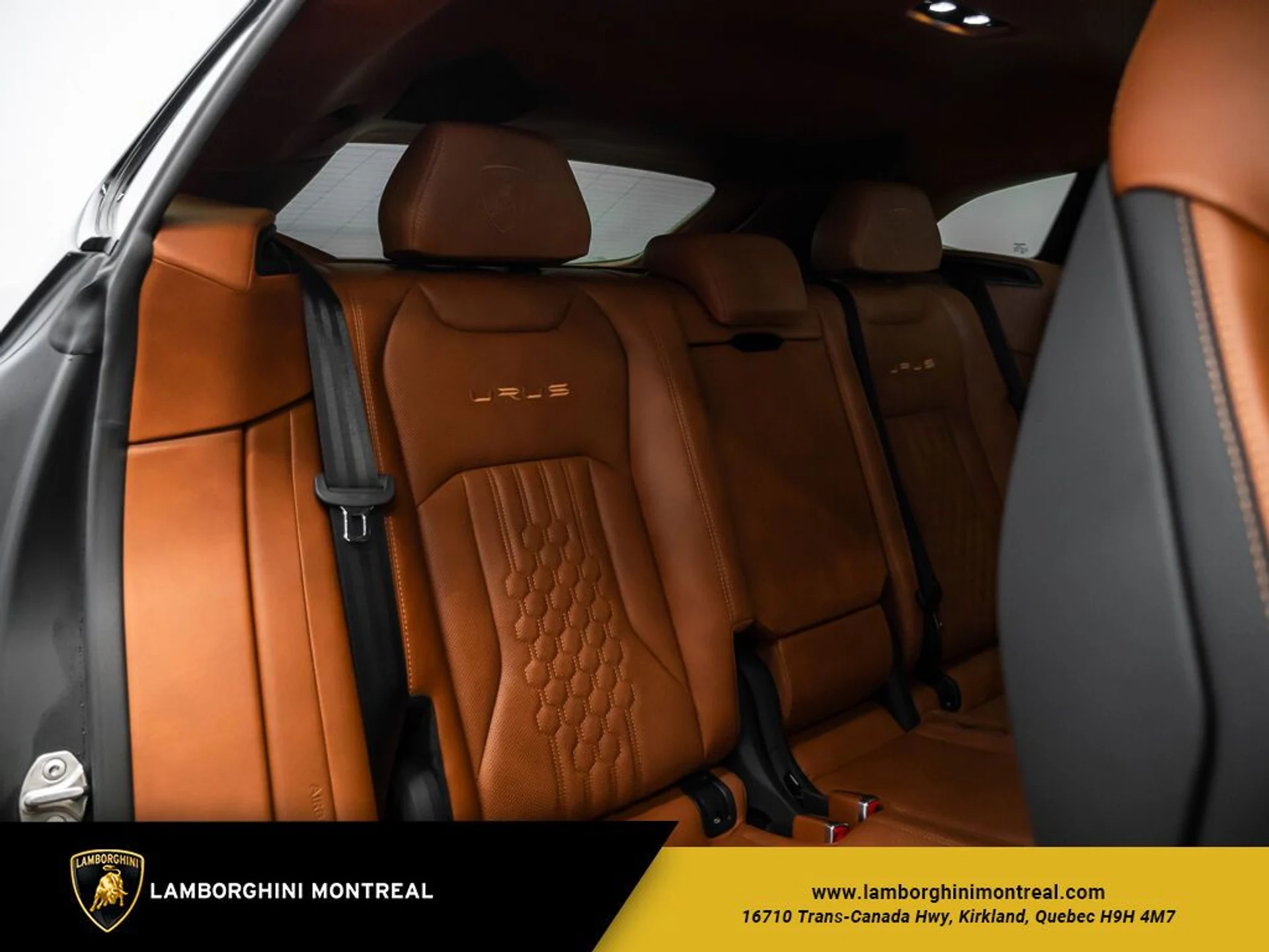 mph024_1494649673_65130d21d9b089_76422853_jpg_v_1773863535_8d6496a4ad