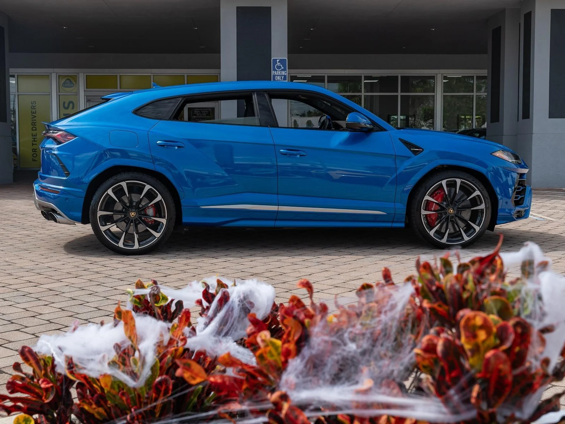 mph024_154513655_Used_2020_Lamborghini_Urus_1753203940_c20610d928