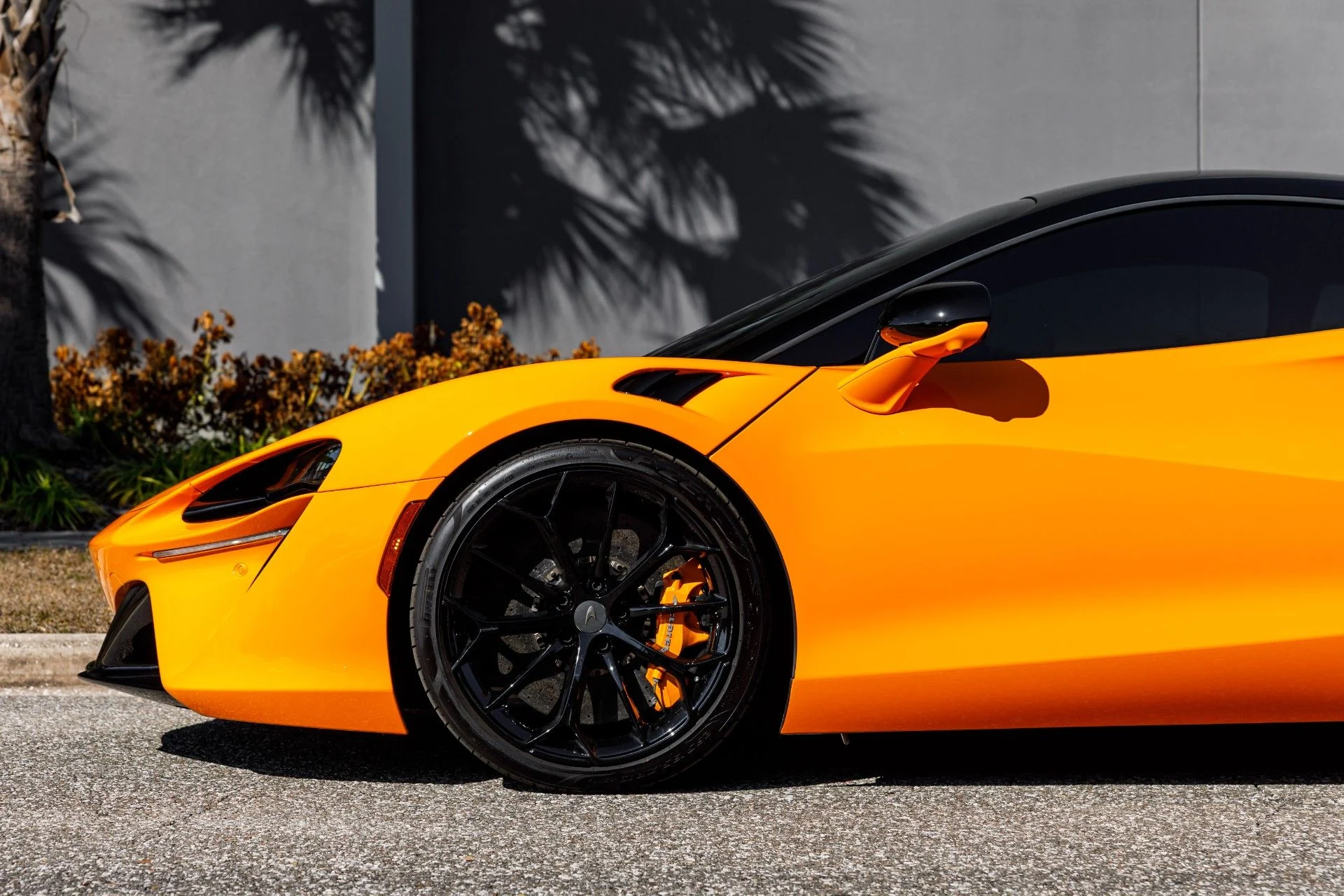 mph024_1679633837_653_p25_l_0fb41e36db