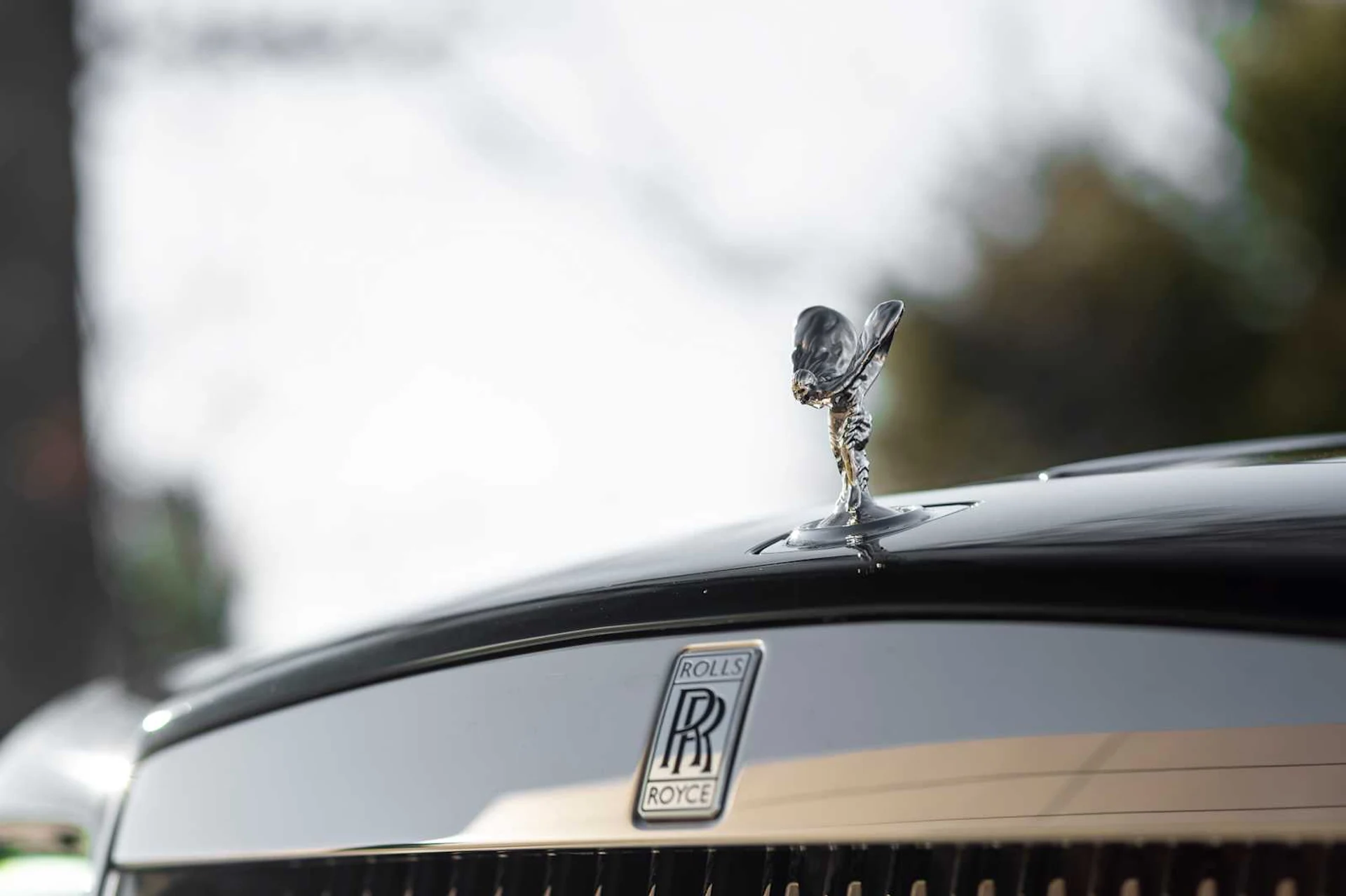 mph024_1930582388_af1f558b778c3c59af324370f971ecd7x_b446bcf7ea