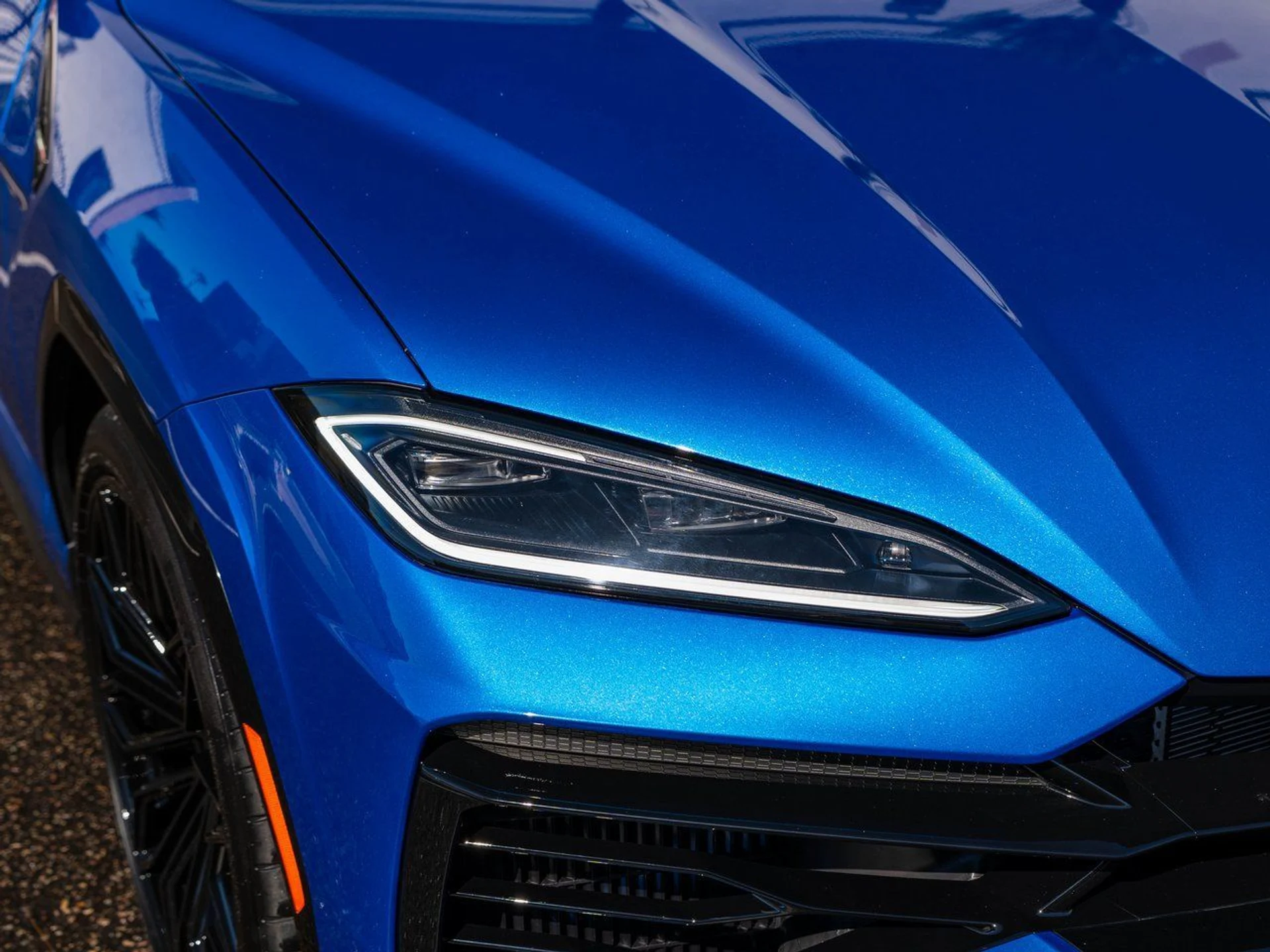 mph024_1955925150_2049bb21f11609eafe2d719a5f35f2dcx_0c9dead468