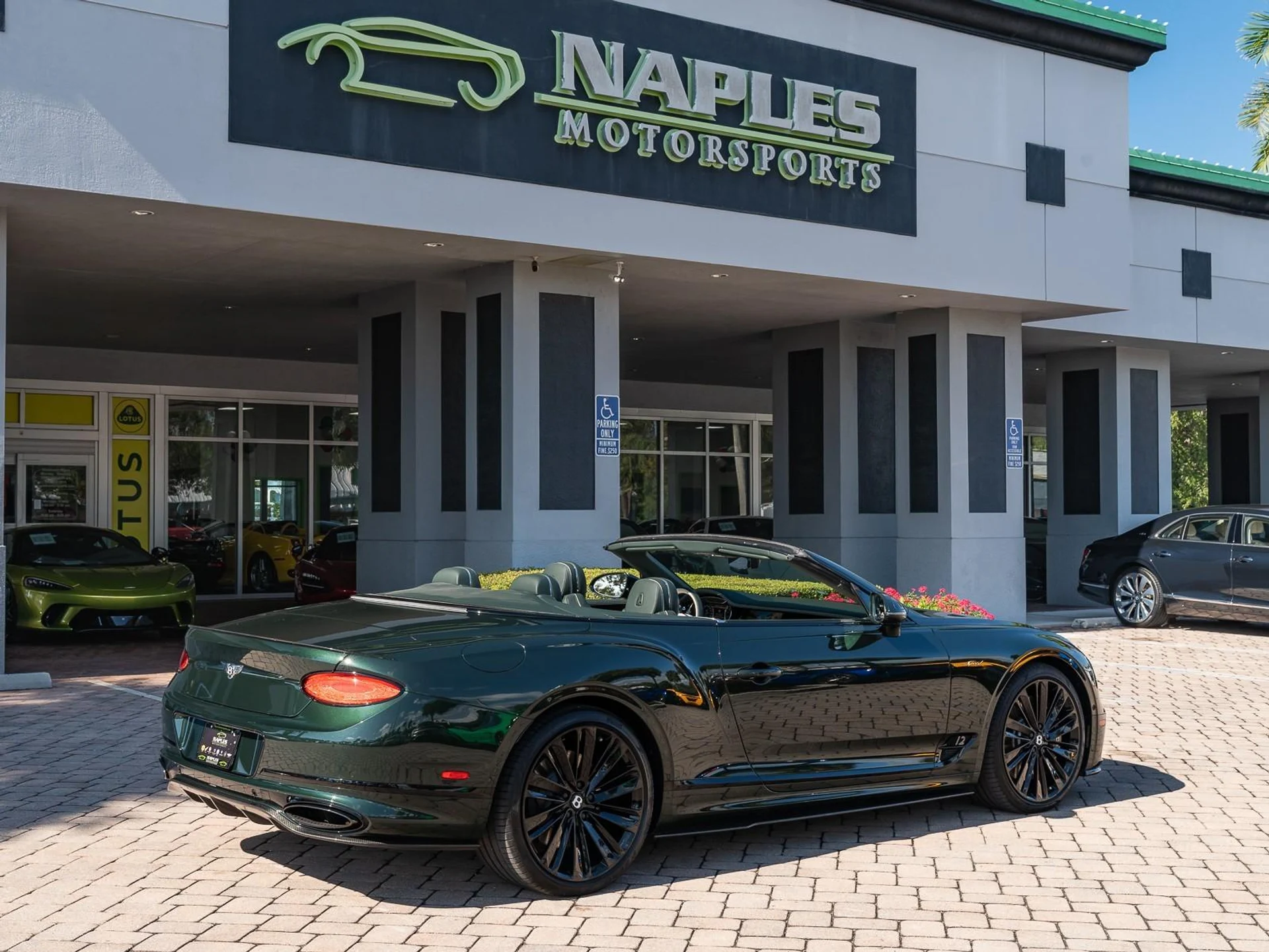 mph024_2040019514_Used_2022_Bentley_Continental_GT_Speed_1766181998_9b8bc93aef