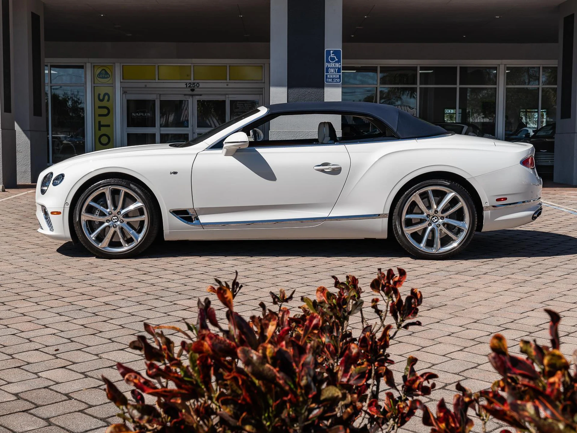 mph024_2068306013_Used_2022_Bentley_Continental_GT_Mulliner_1771927235_2ee52487e6