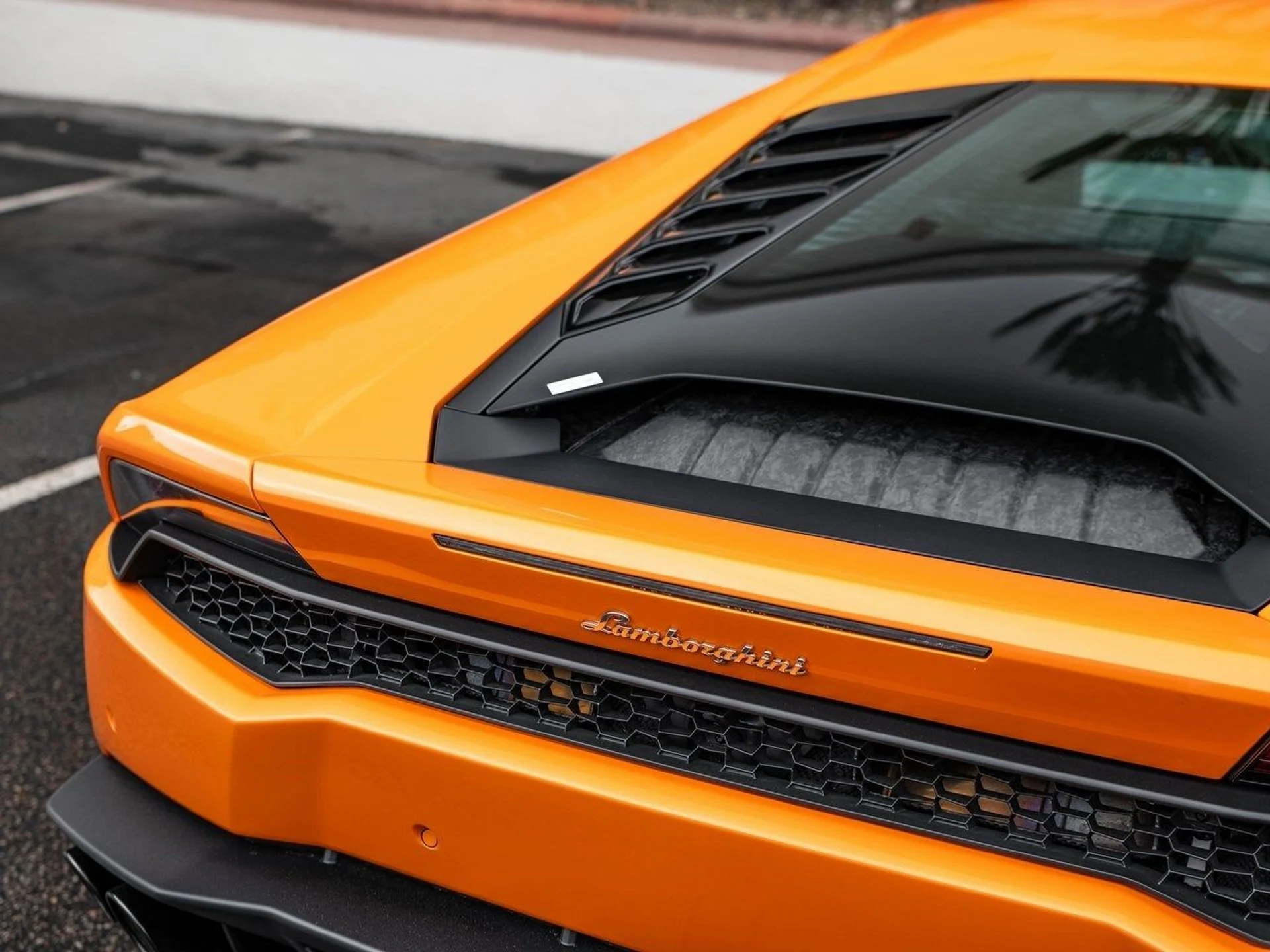 mph024_2124653074_2c7dfb003a1bdc248b7ff4404702725ax_4db5664af2