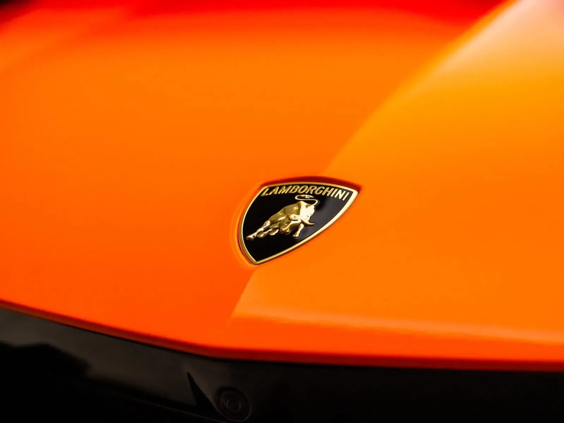 mph024_2180796477_49175bfa_72bc_46b0_bd1b_0c9e967602bc_2f34ce2a63