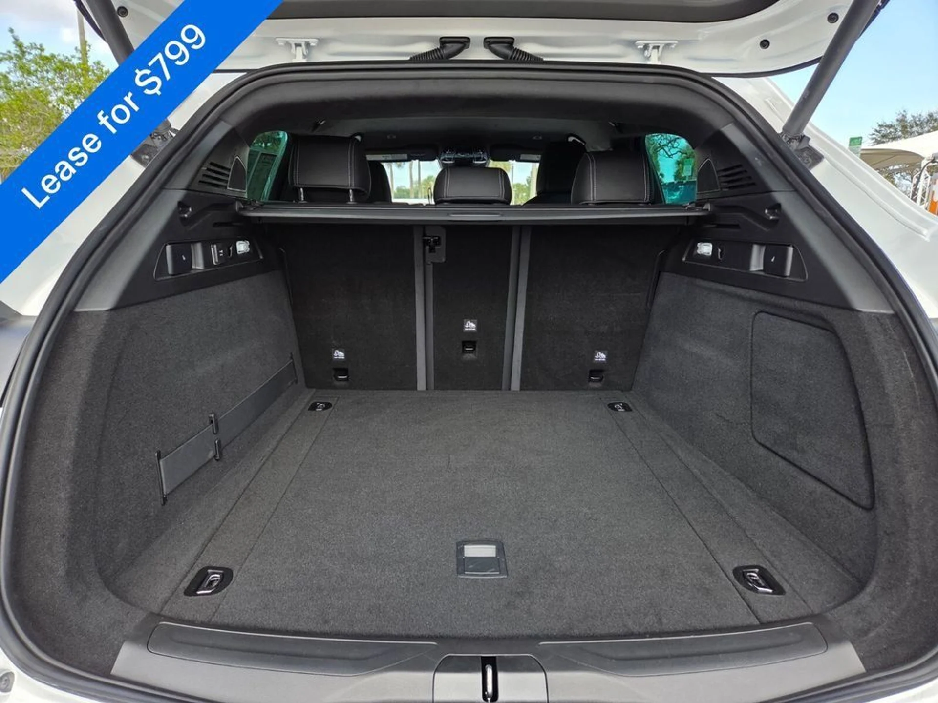 mph024_237556846_66d6586accb7f279e3cd8586147abf9e_577c25a3c9