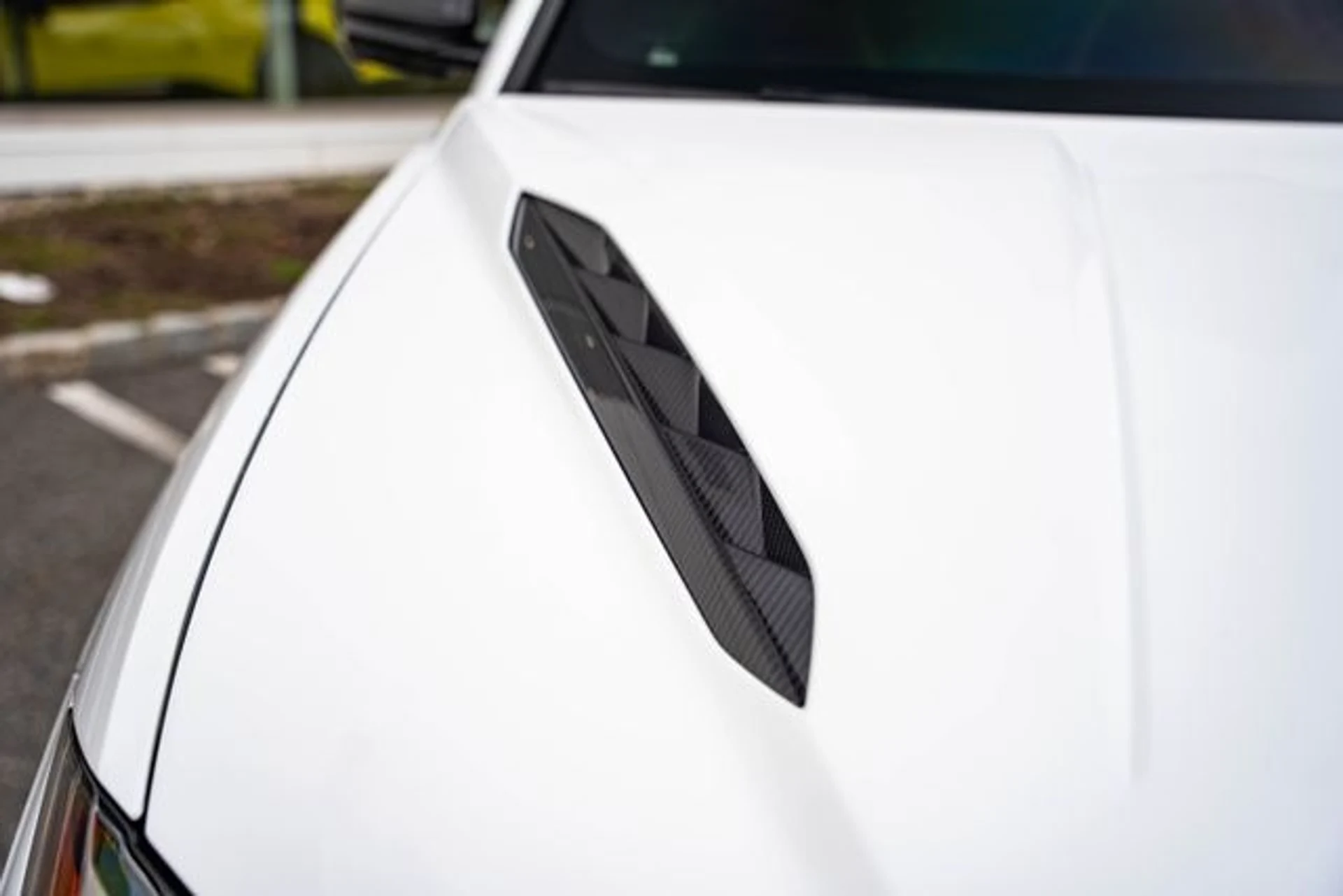 mph024_2401940458_cc40b19d2e0362ab90381fcde723b00a_7091082901