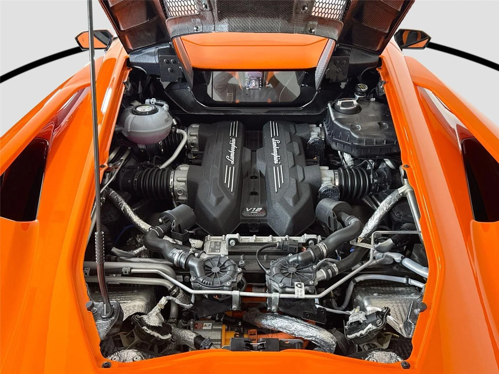 mph024_2414199707_baad5a3ccb0070ceac8a7d7c1bd0777a_7a9e576540