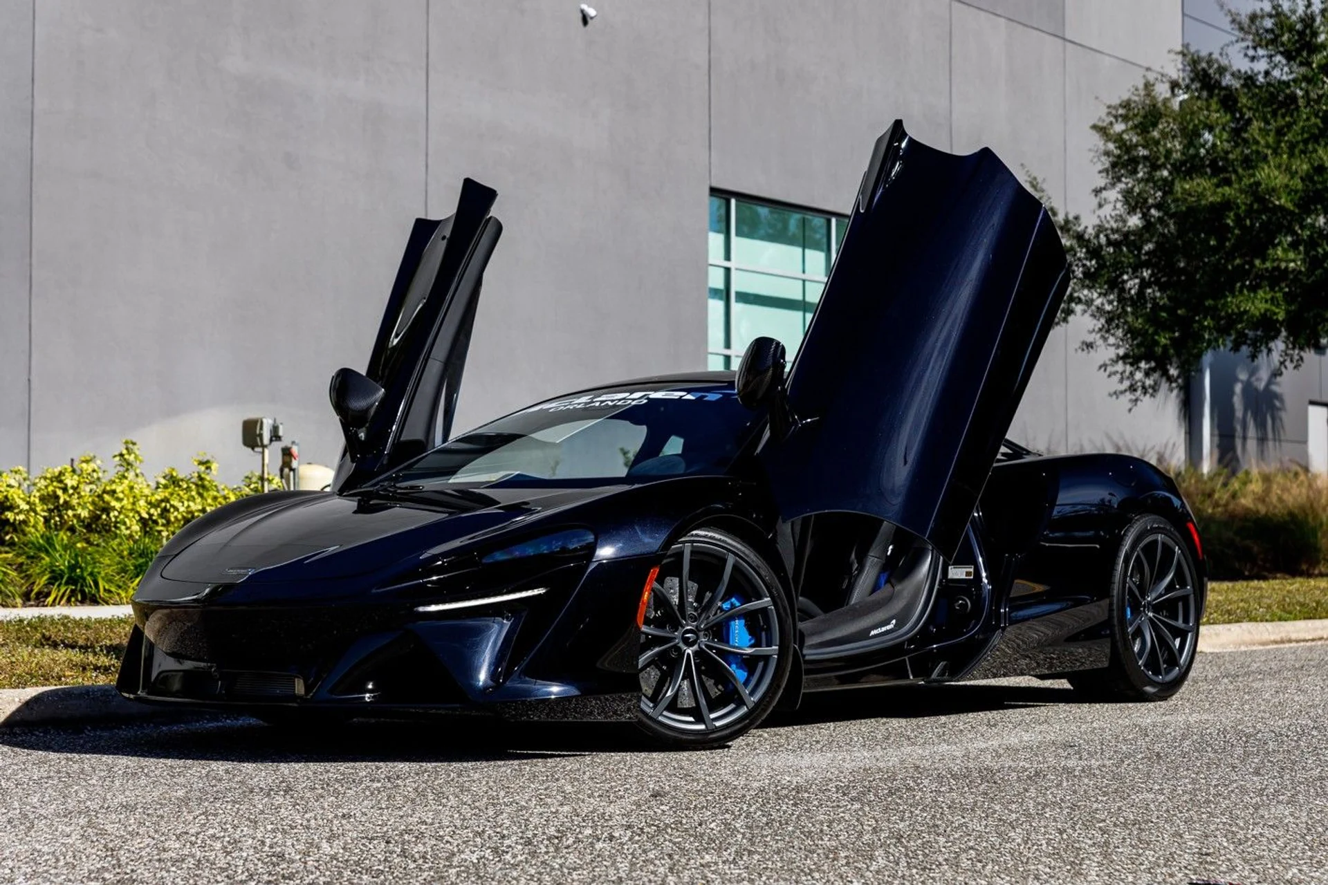 mph024_2480945969_396_p25_l_9b5ca6ea54