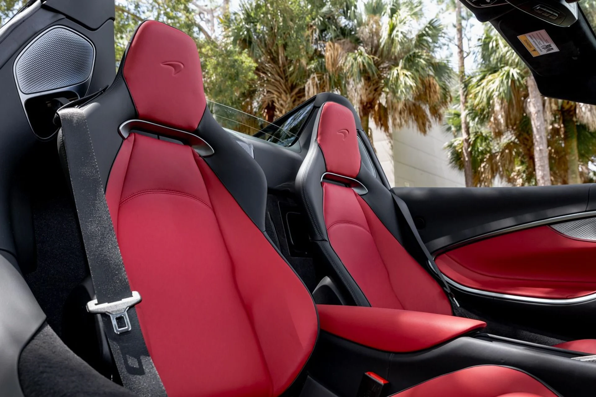 mph024_2548758704_446_p25_l_85358feaa9