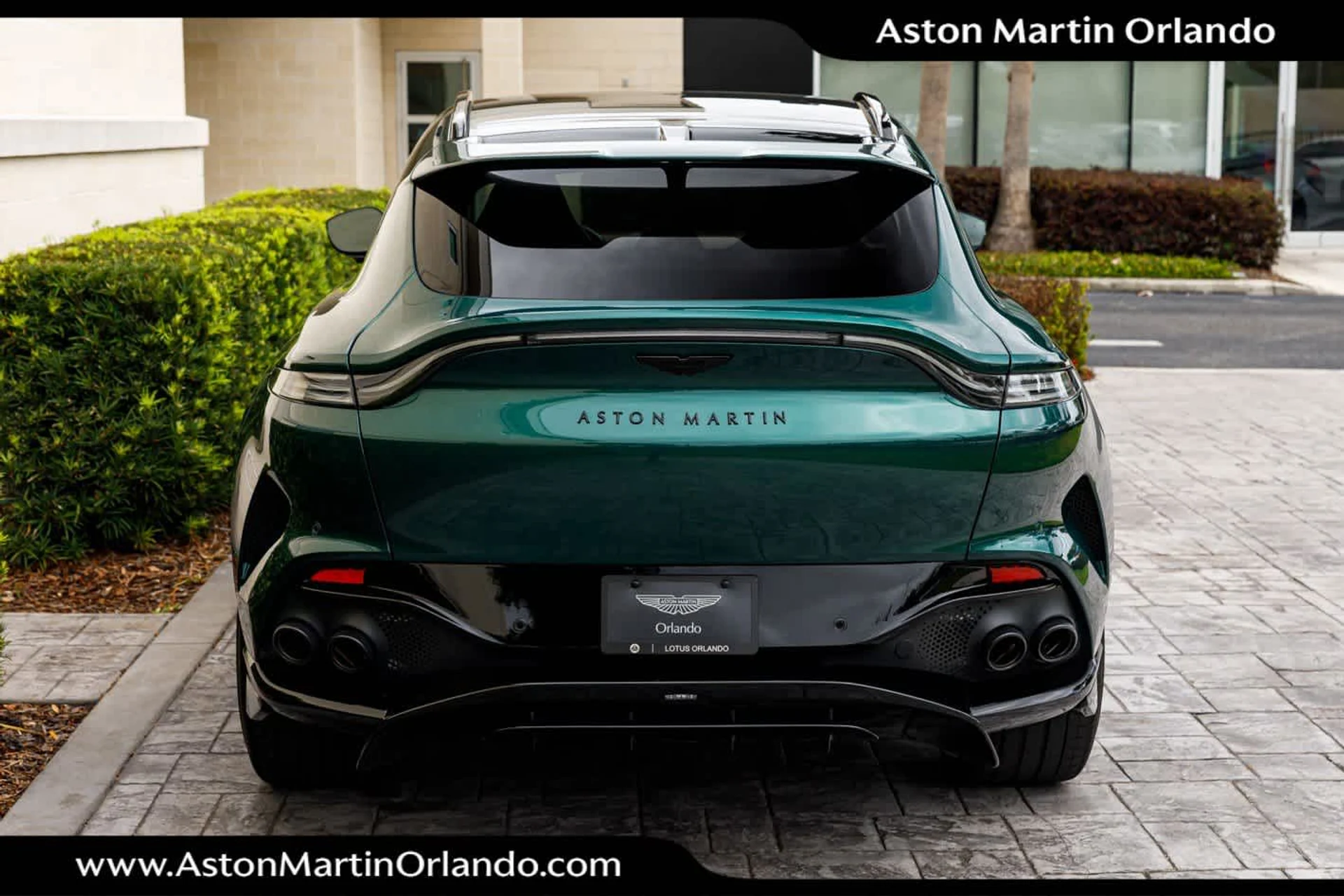 mph024_2581460473_25_fc95f55c6a