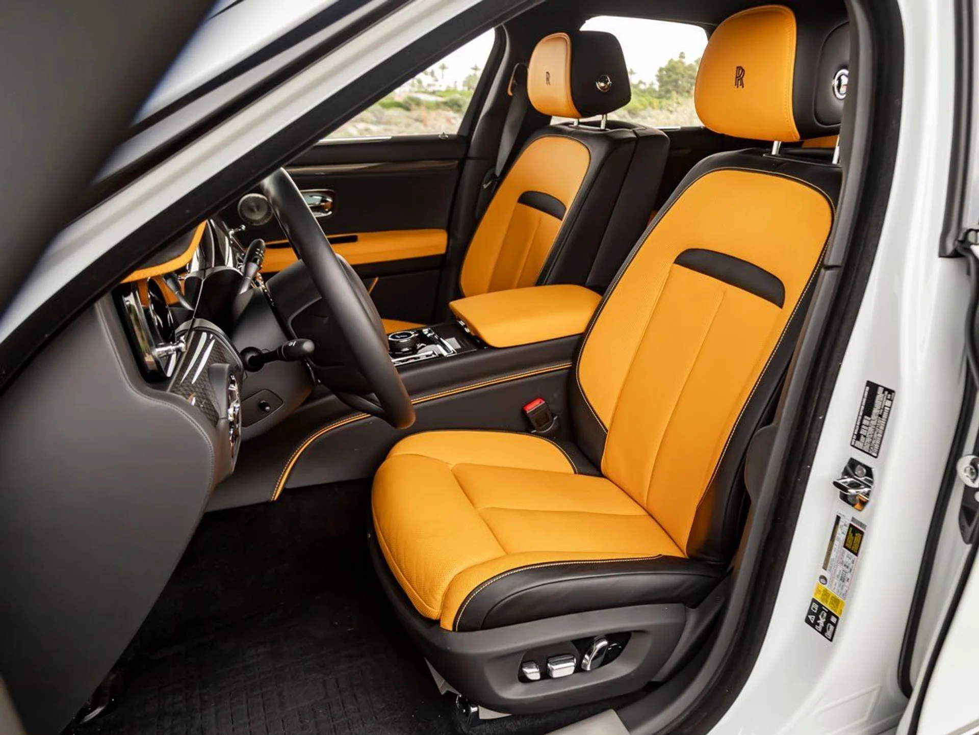 mph024_2588680846_25_bac8976d0b