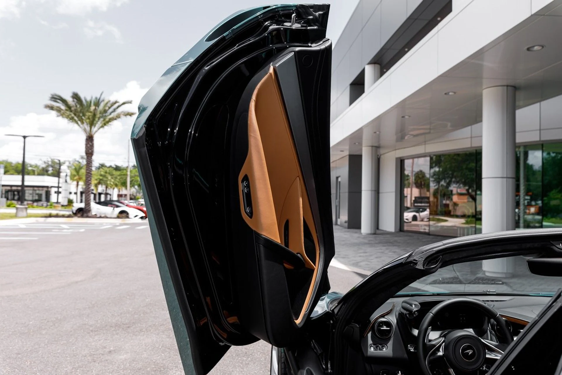 mph024_2592885949_678_p25_l_a53ce34896