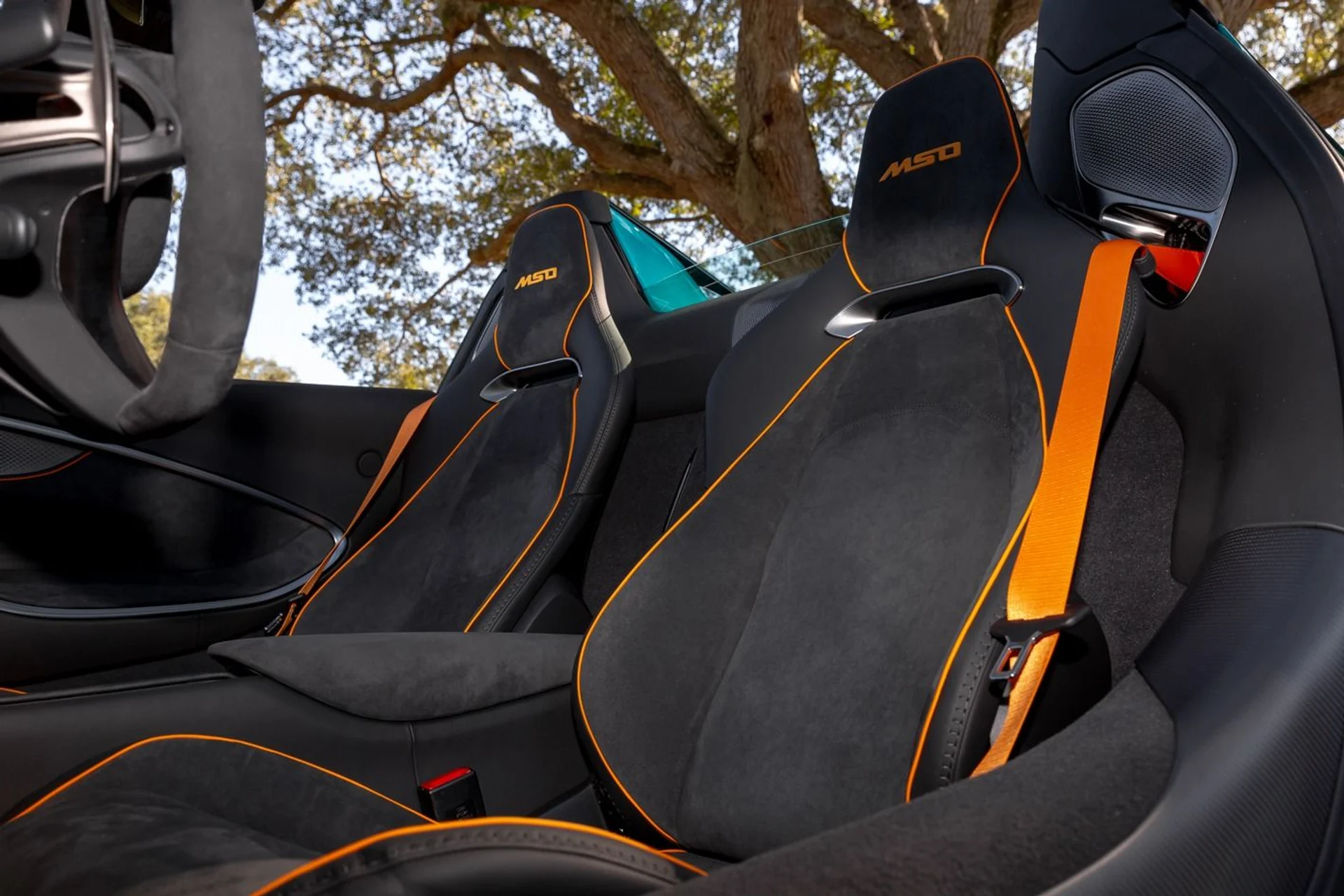 mph024_2666552899_488_p25_l_cb2d92e445