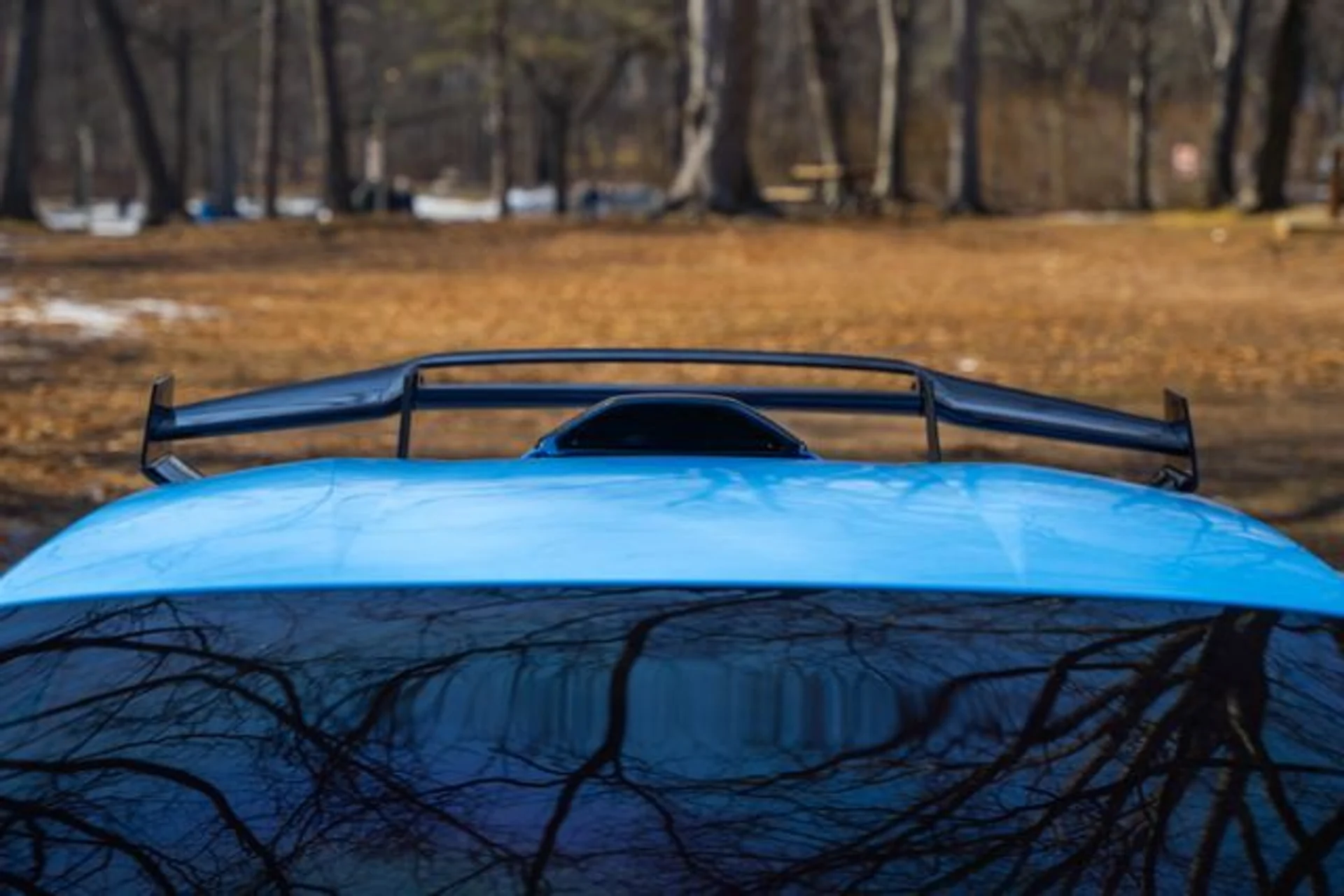 mph024_2691827192_b029a70d5182a0d5396c3069ba65741a_1e4a9c4775