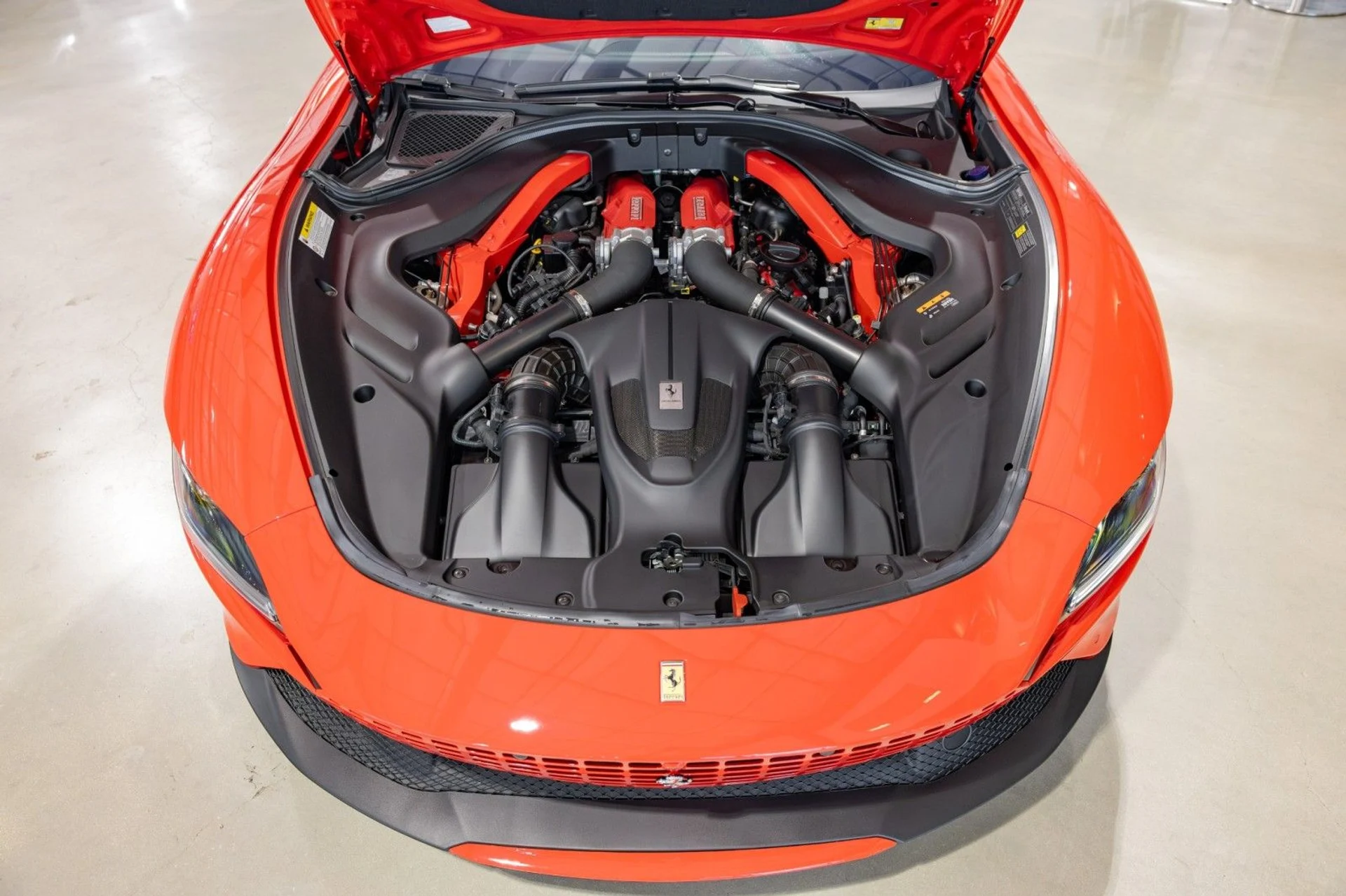 mph024_2905749776_4w_856a0c794e