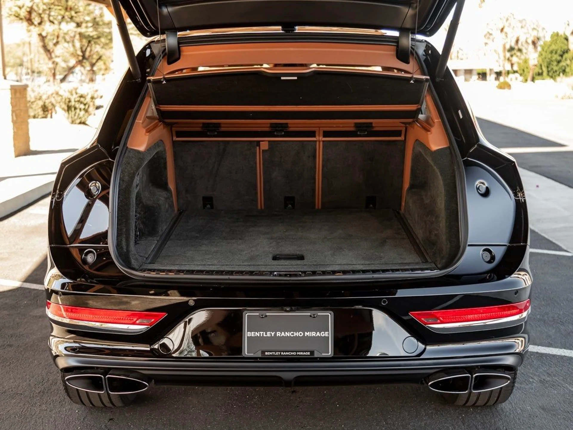 mph024_2919398162_25_79fa10cba9