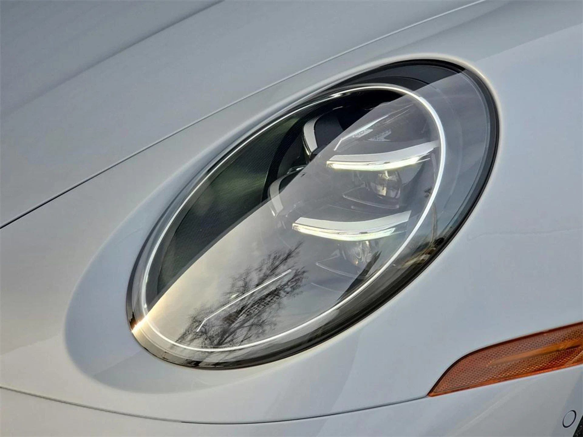 mph024_2957755233_d_Biy_Nt_Azl_Celf_C_Wjfwk_UB_Fzw_A_622f2a63b9