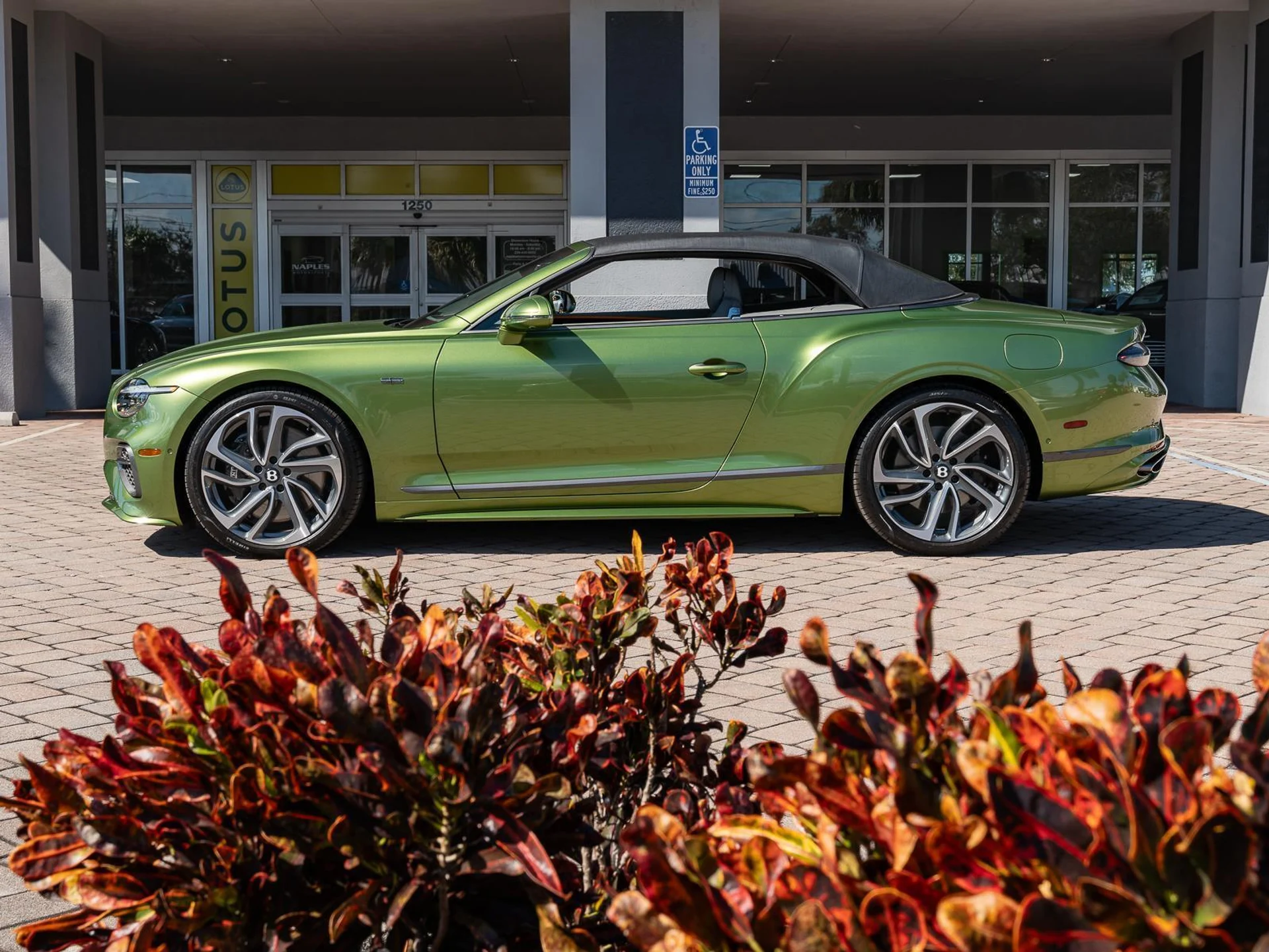 mph024_3007446822_Used_2025_Bentley_Continental_GT_Speed_1770806126_2fb690911a