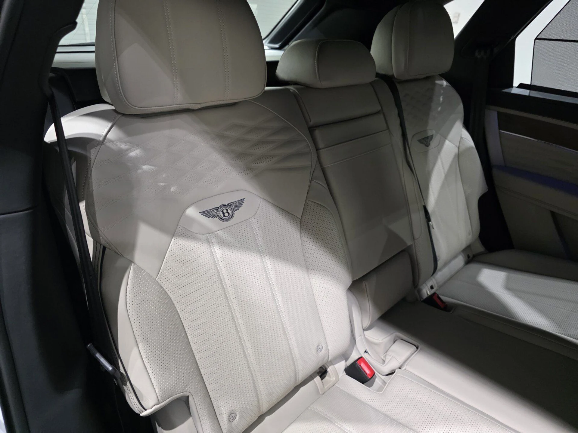 mph024_3076351550_cec594922b7c0e351876d491dd18f812_3d0d17c255