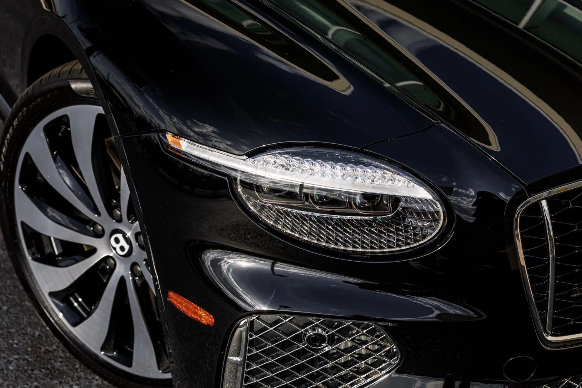 mph024_3094834319_08c95ace5606ae2b8ca4d5c0ddf062eax_a582d6a2c5