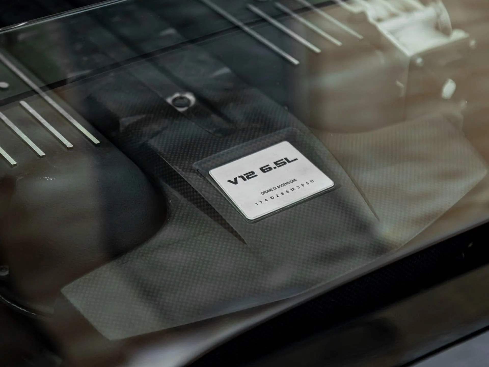 mph024_311344967_25_71503804f2