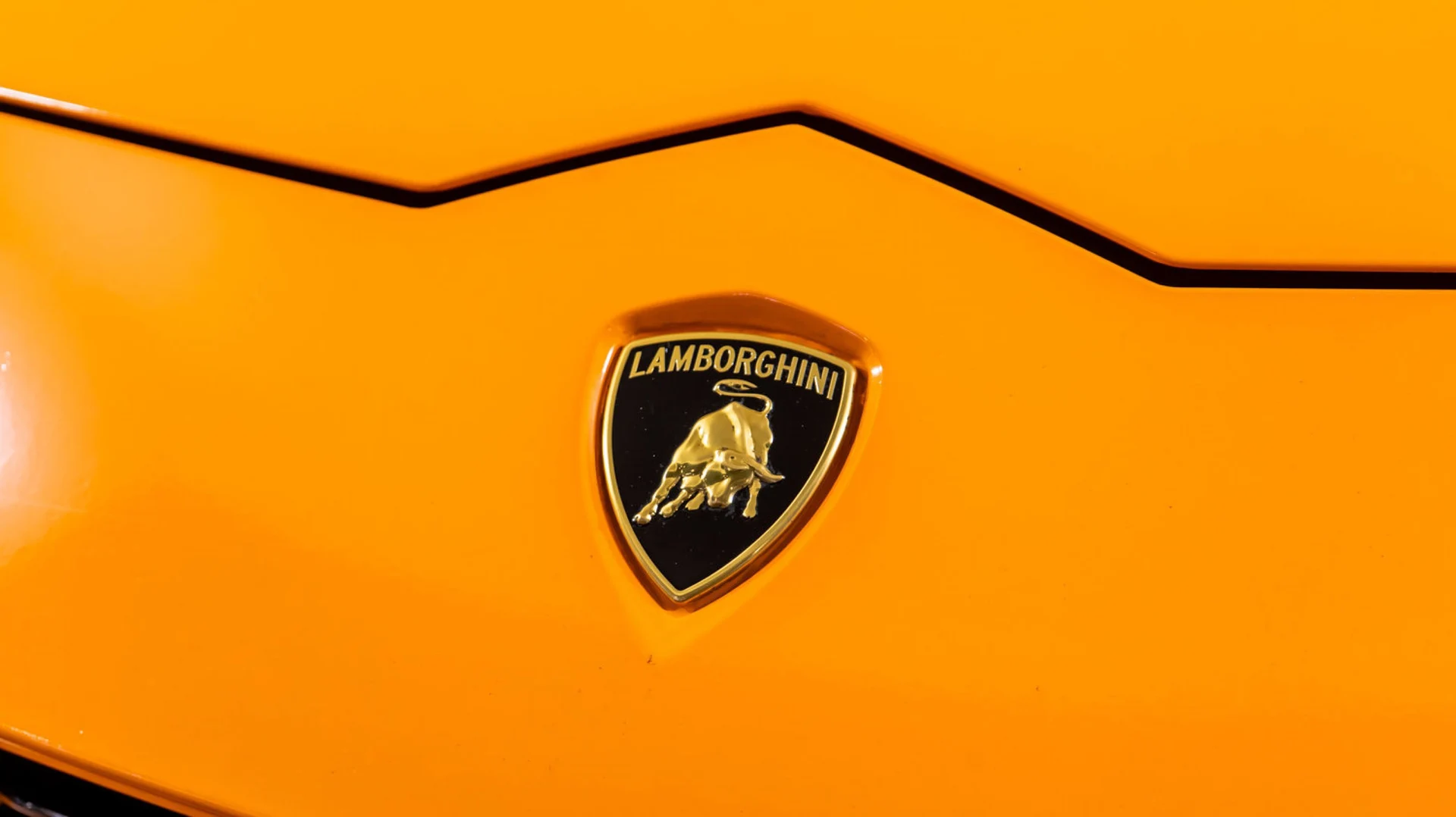 mph024_318353951_content_homenetiol_com_2001243_2130496_0x0_7f674e90f6994952831887d6f388bf0a_64ec4ffd0e