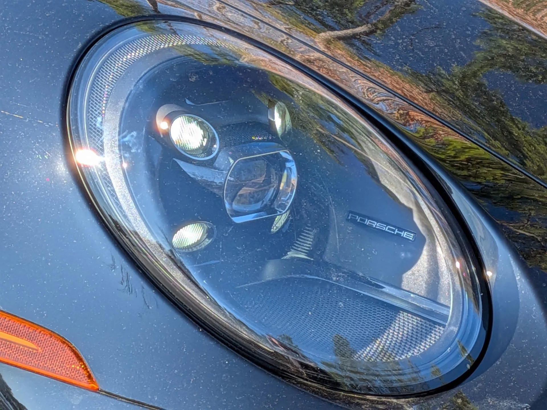 mph024_3379653602_ada28fe327e22222e1732dc253755af0x_2ab9d7eb20