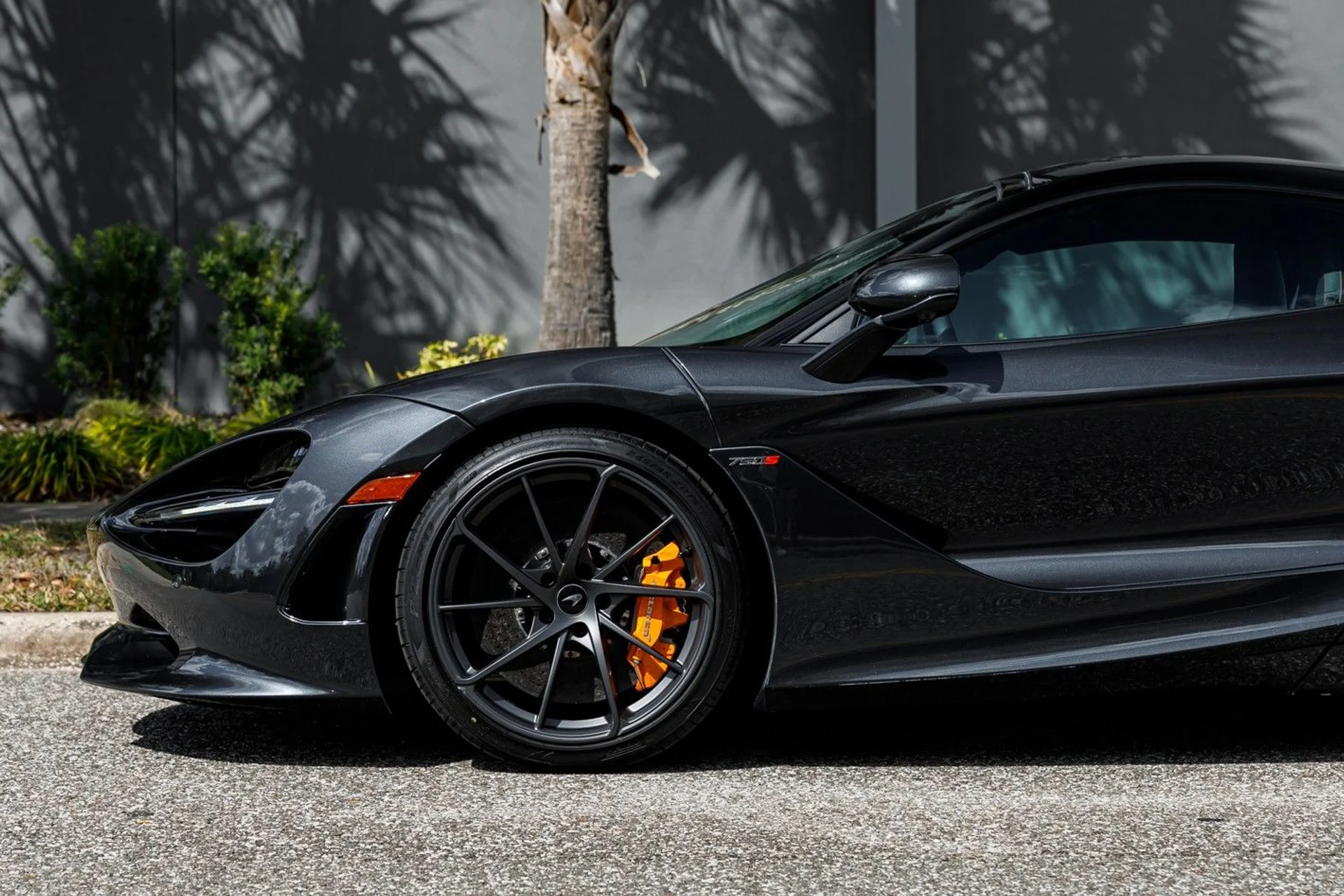 mph024_3397168697_655_p25_l_742294fb8d