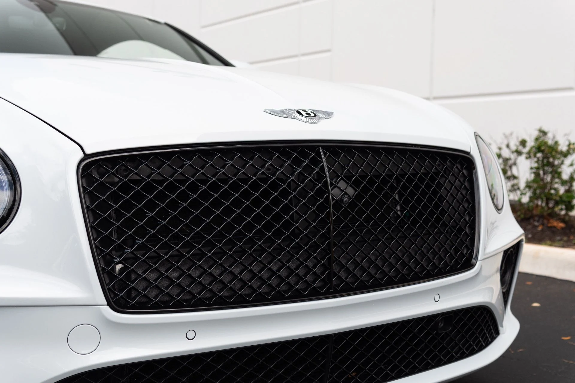 mph024_3561490549_Used_2021_Bentley_Continental_GT_V8_1772816156_53ea583d62