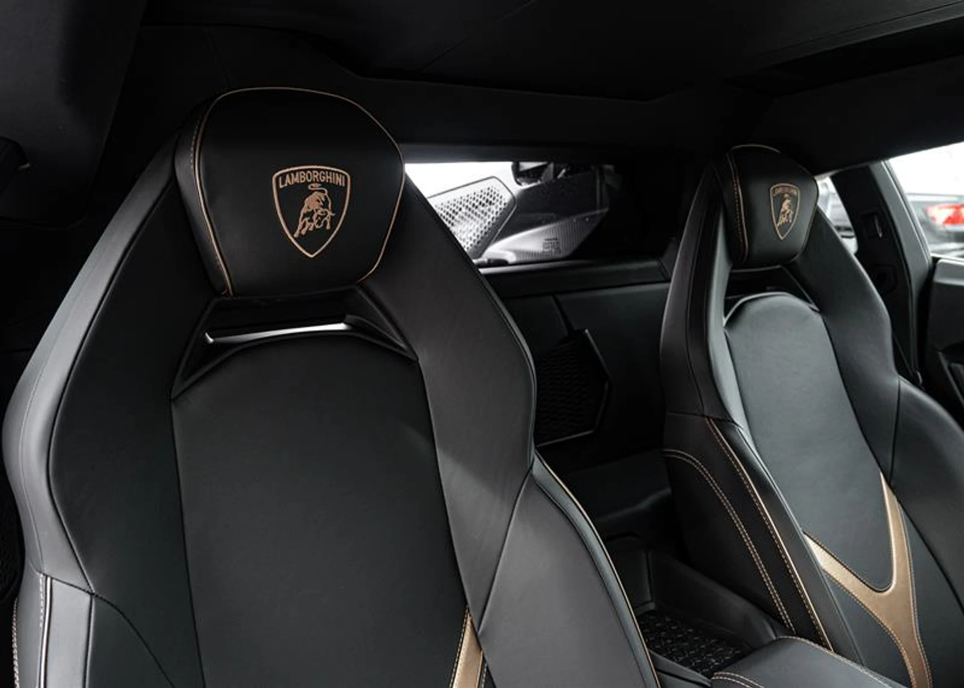 mph024_3585855326_11046819_1622101310_874653090f